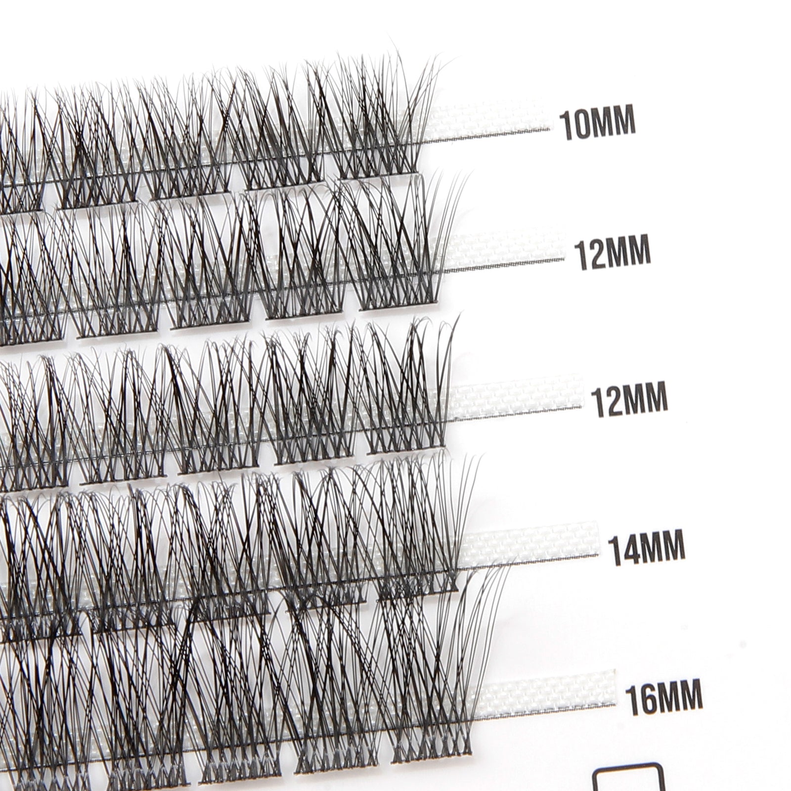 Sunshine 50 Cluster Lashes