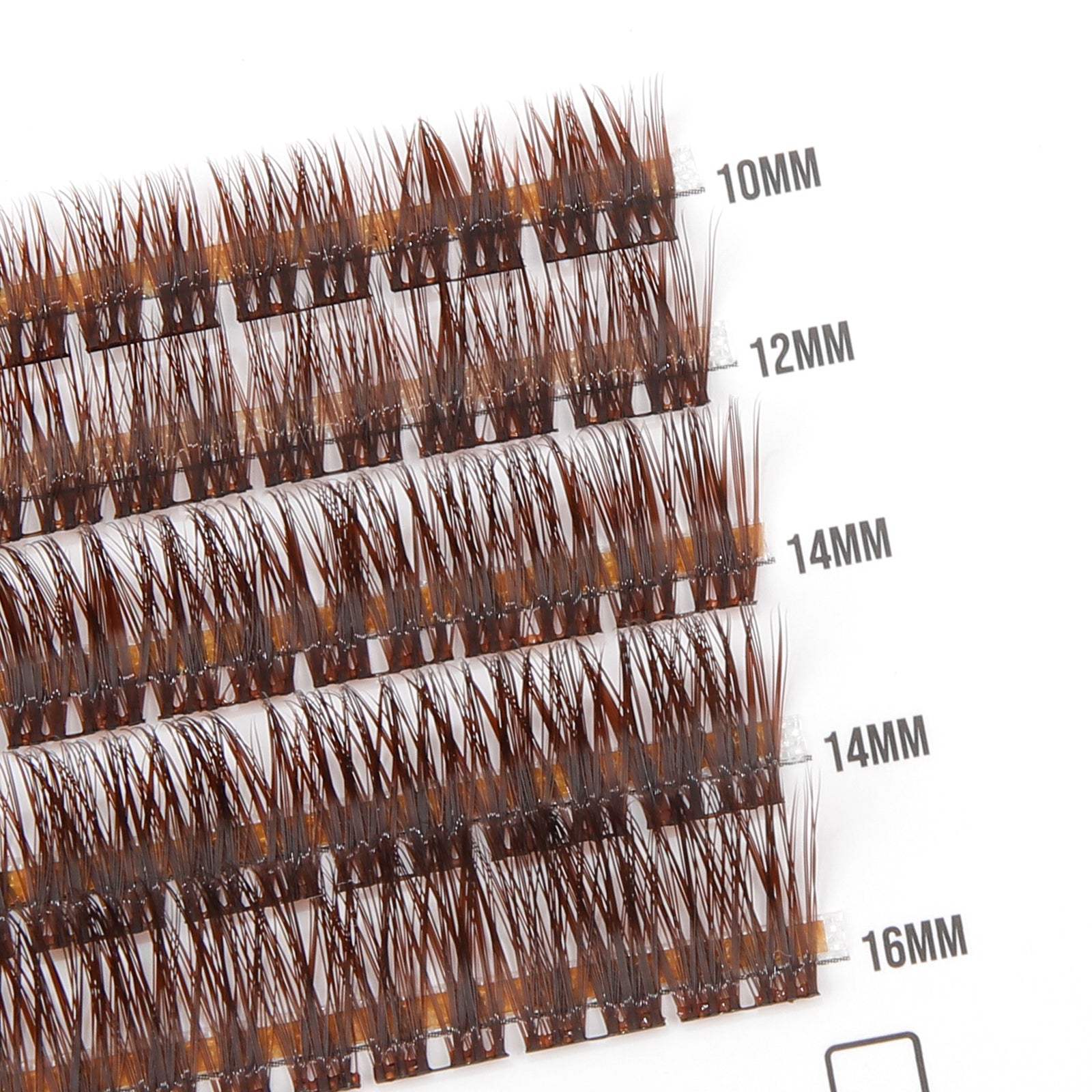 Dark Chocolate 50 Cluster Lashes