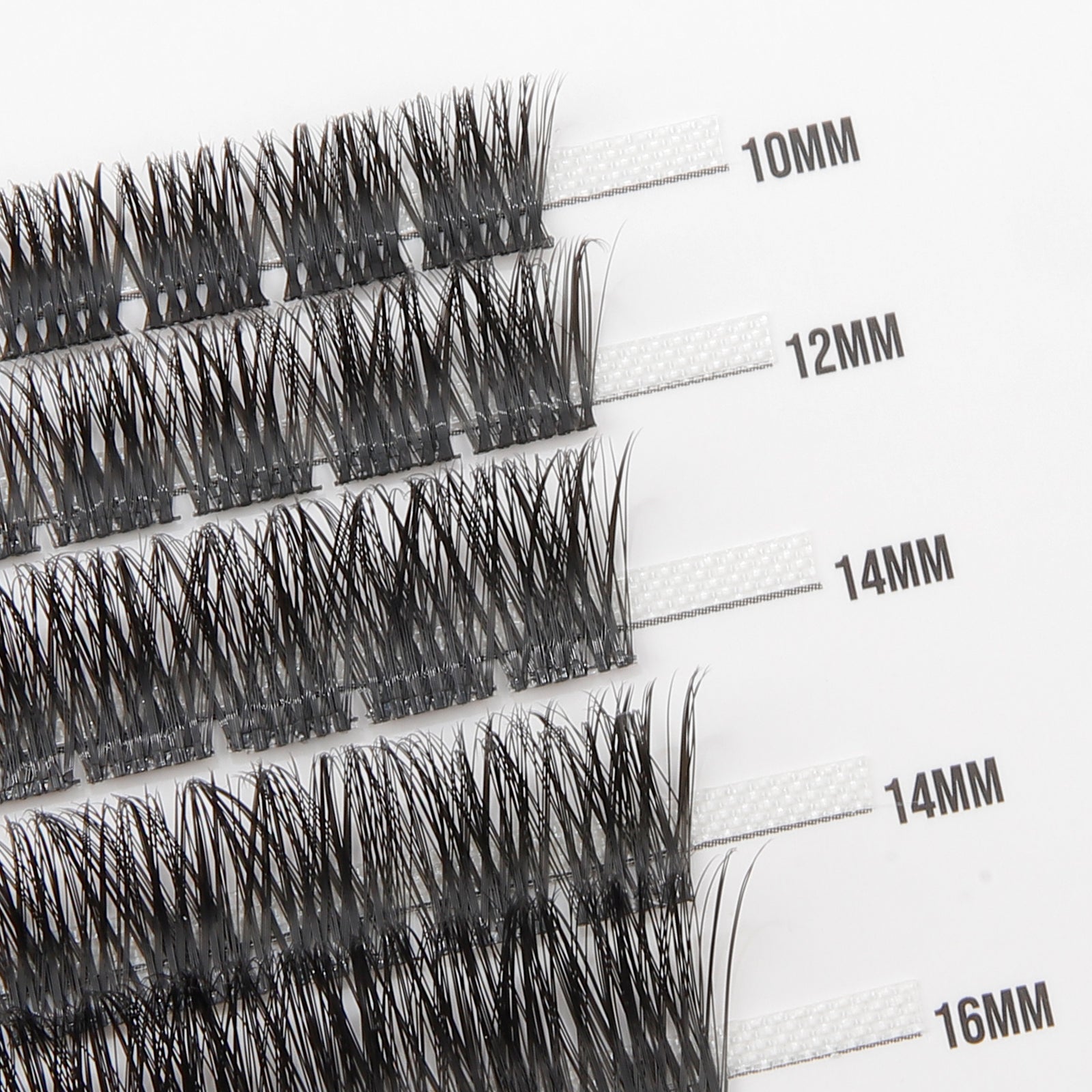 Babe 50 Cluster Lashes
