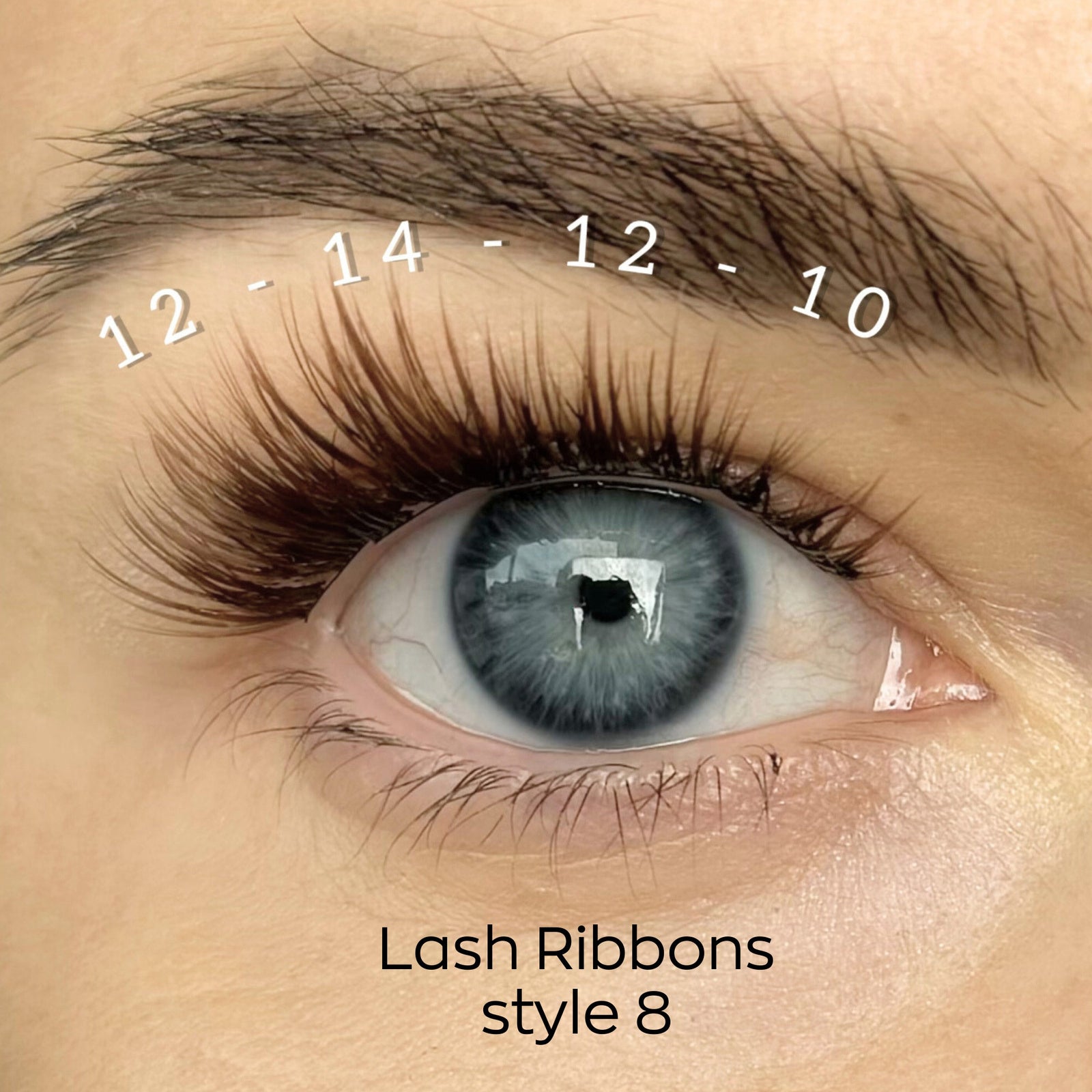 Lash Ribbons Style 08 Brown Single Pack