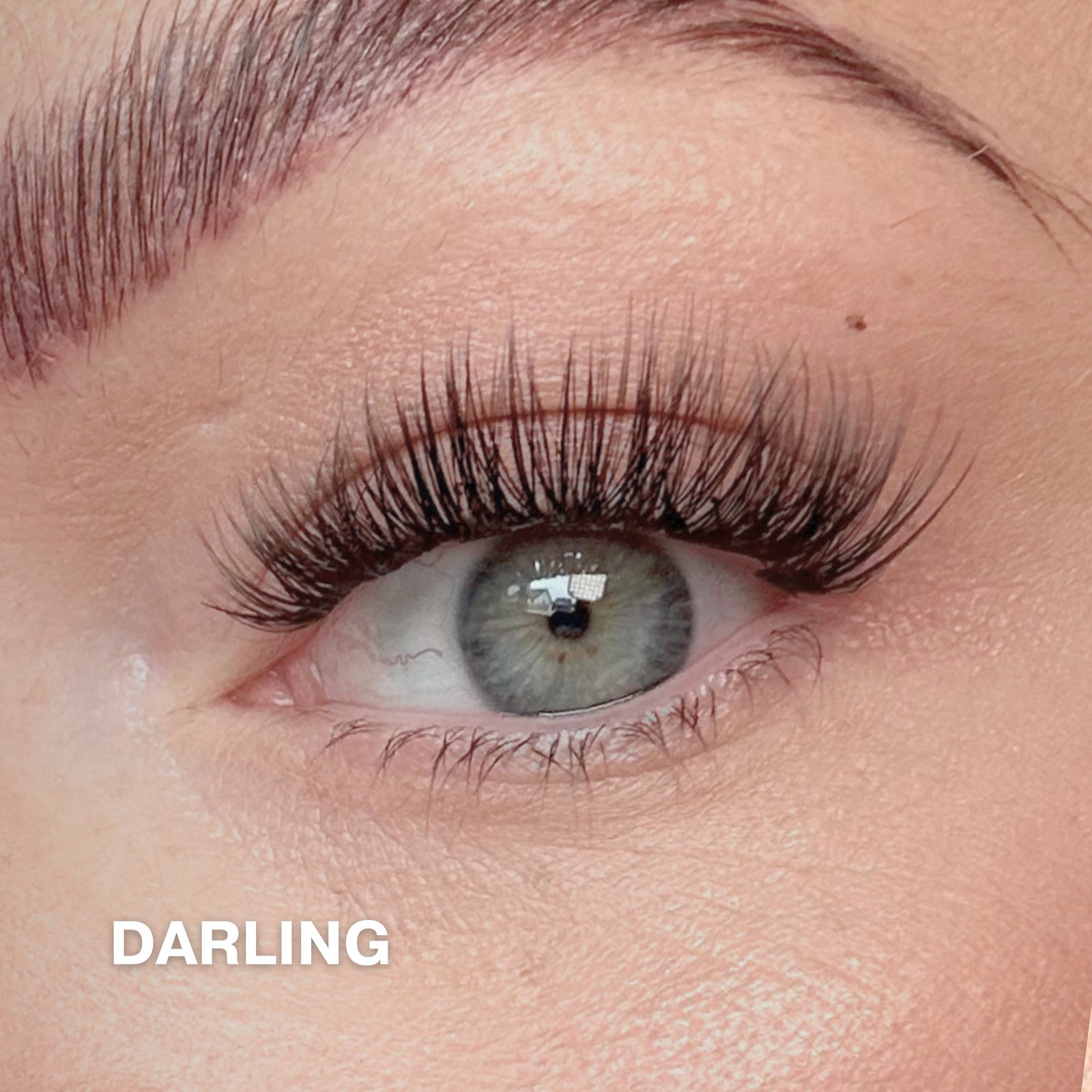 Mini Starter Kit with 100 Cluster Lashes