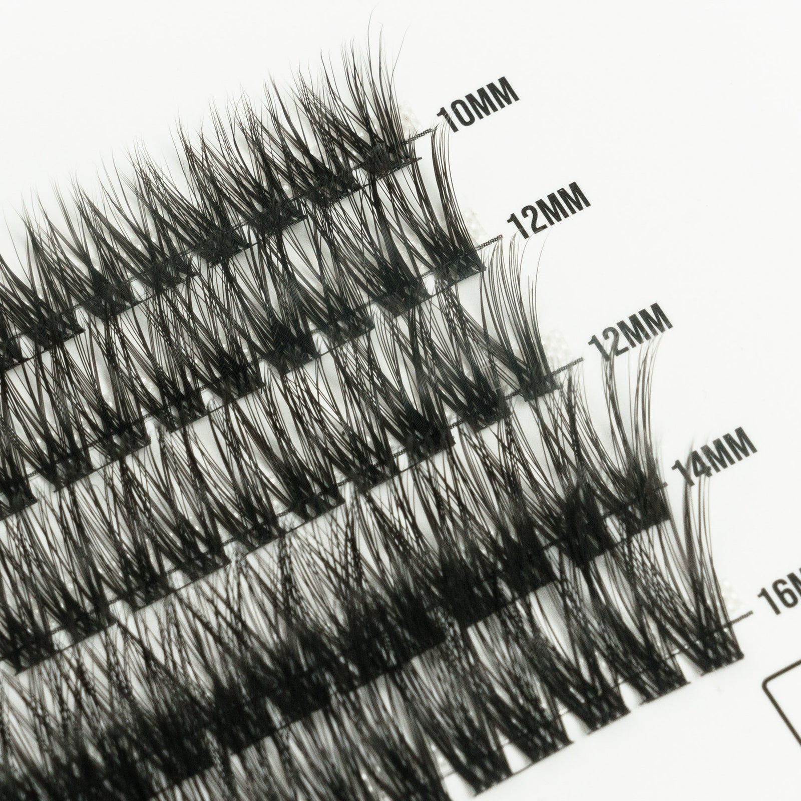 Darling 50 Cluster Lashes