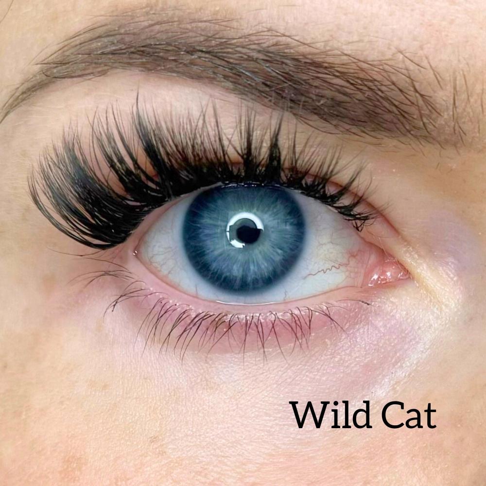 Starter kit with three packs of pre-cut lashes