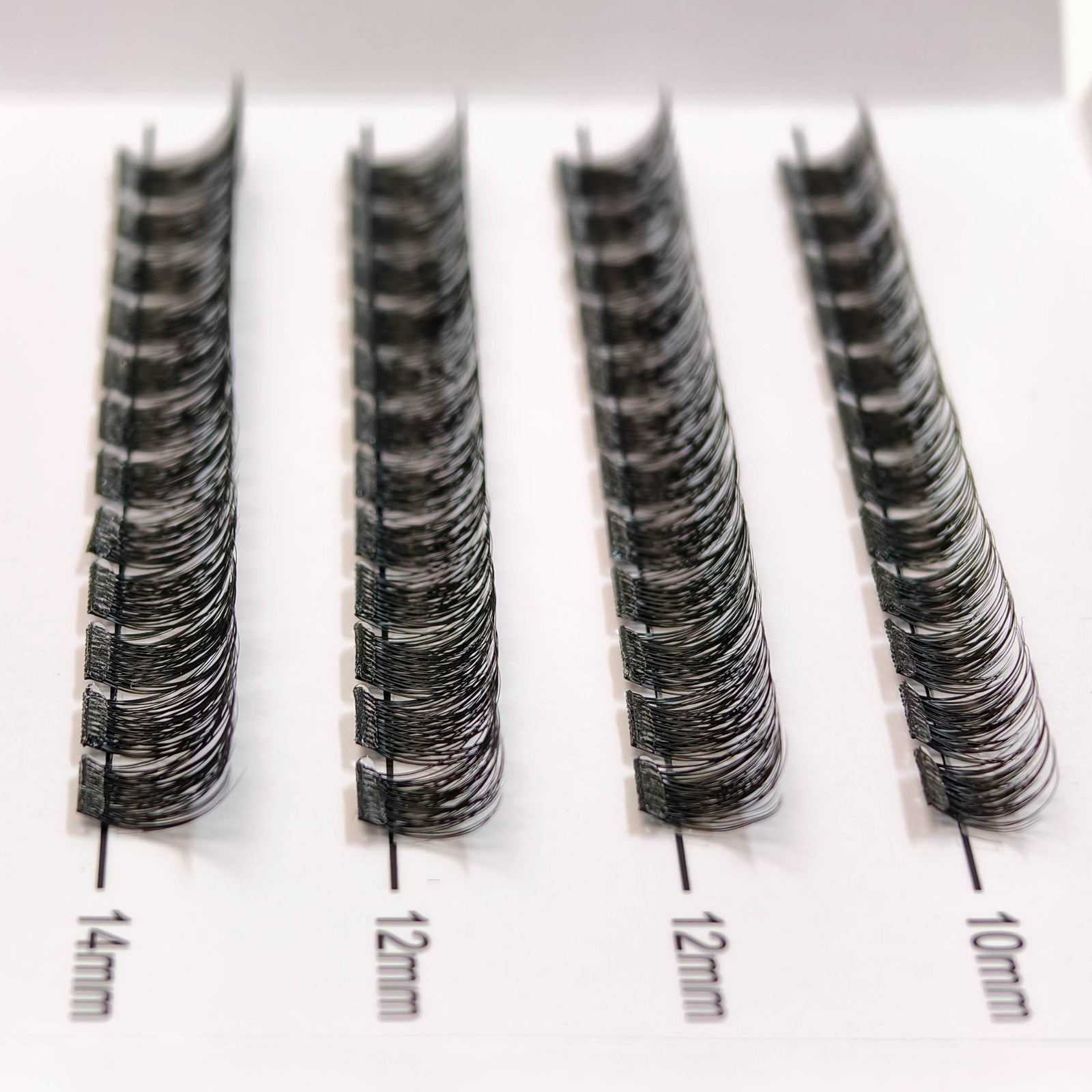 Ready & Go Pre-Glued Lashes, Model 2 (Panther)