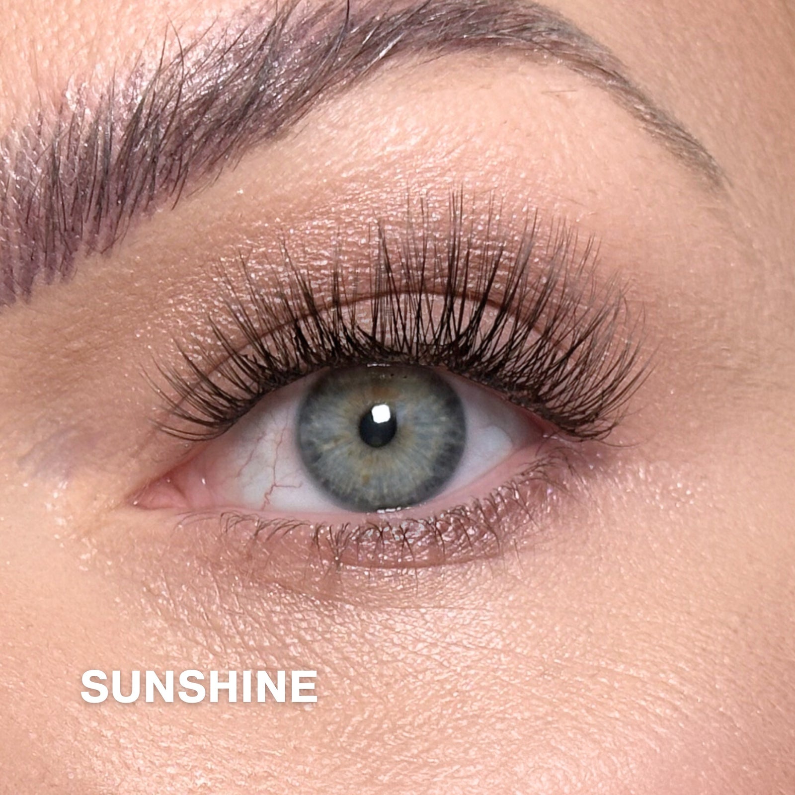 Sunshine 50 Cluster Lashes