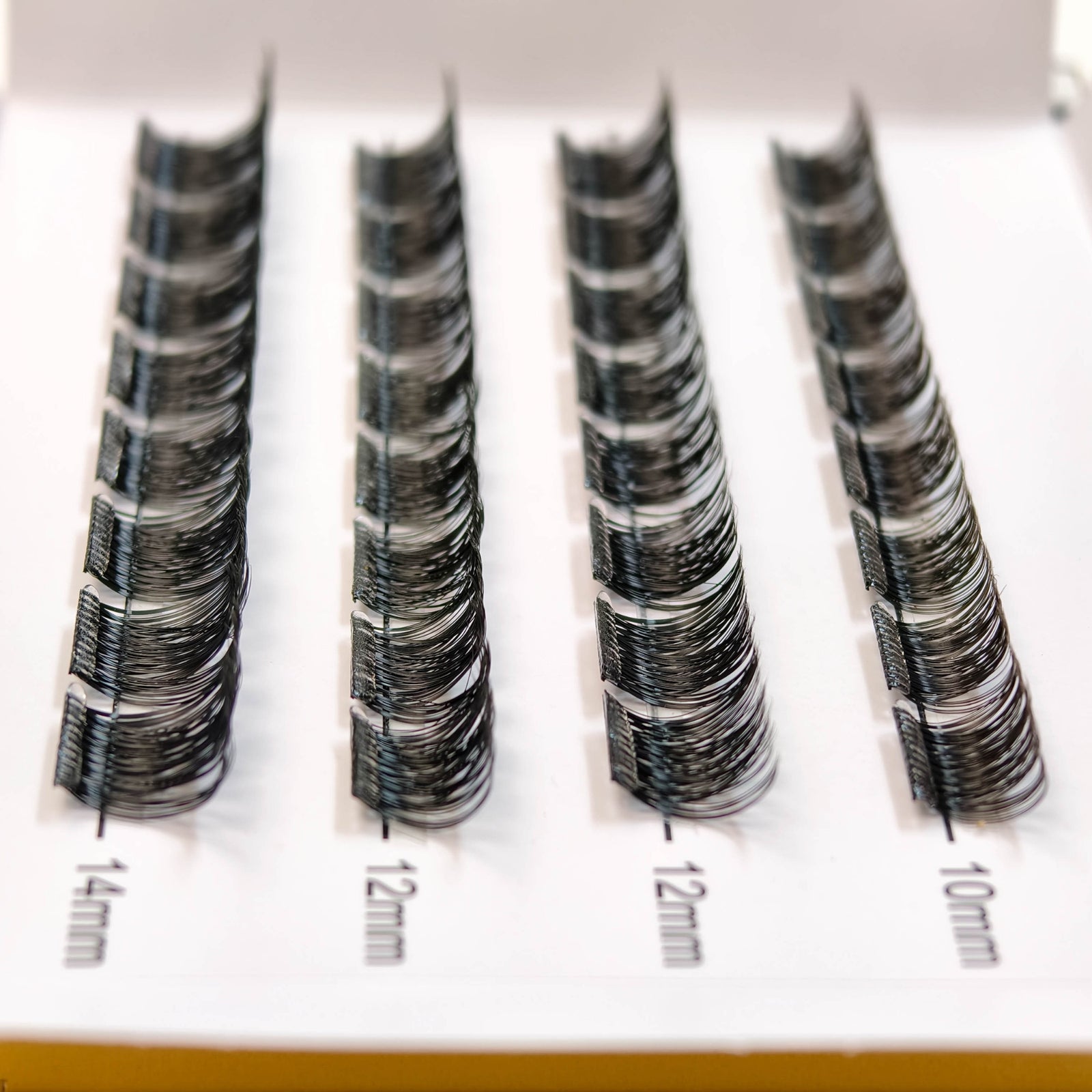 Ready & Go Pre-Glued Lashes, Model 1 (Zebra)