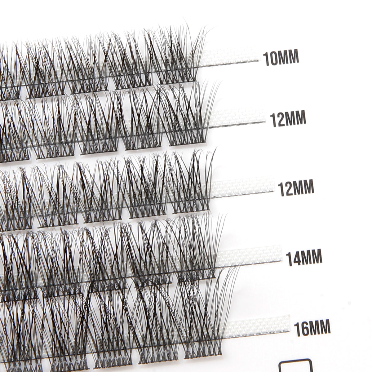 Sunshine 50 Cluster Lashes