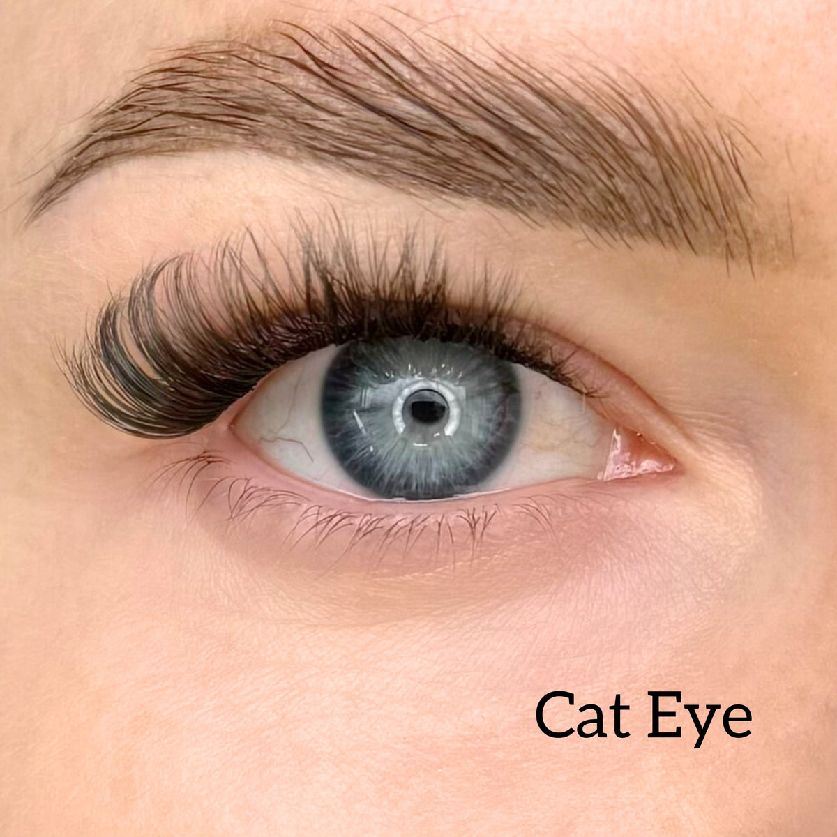 Starter kit with three packs of pre-cut lashes