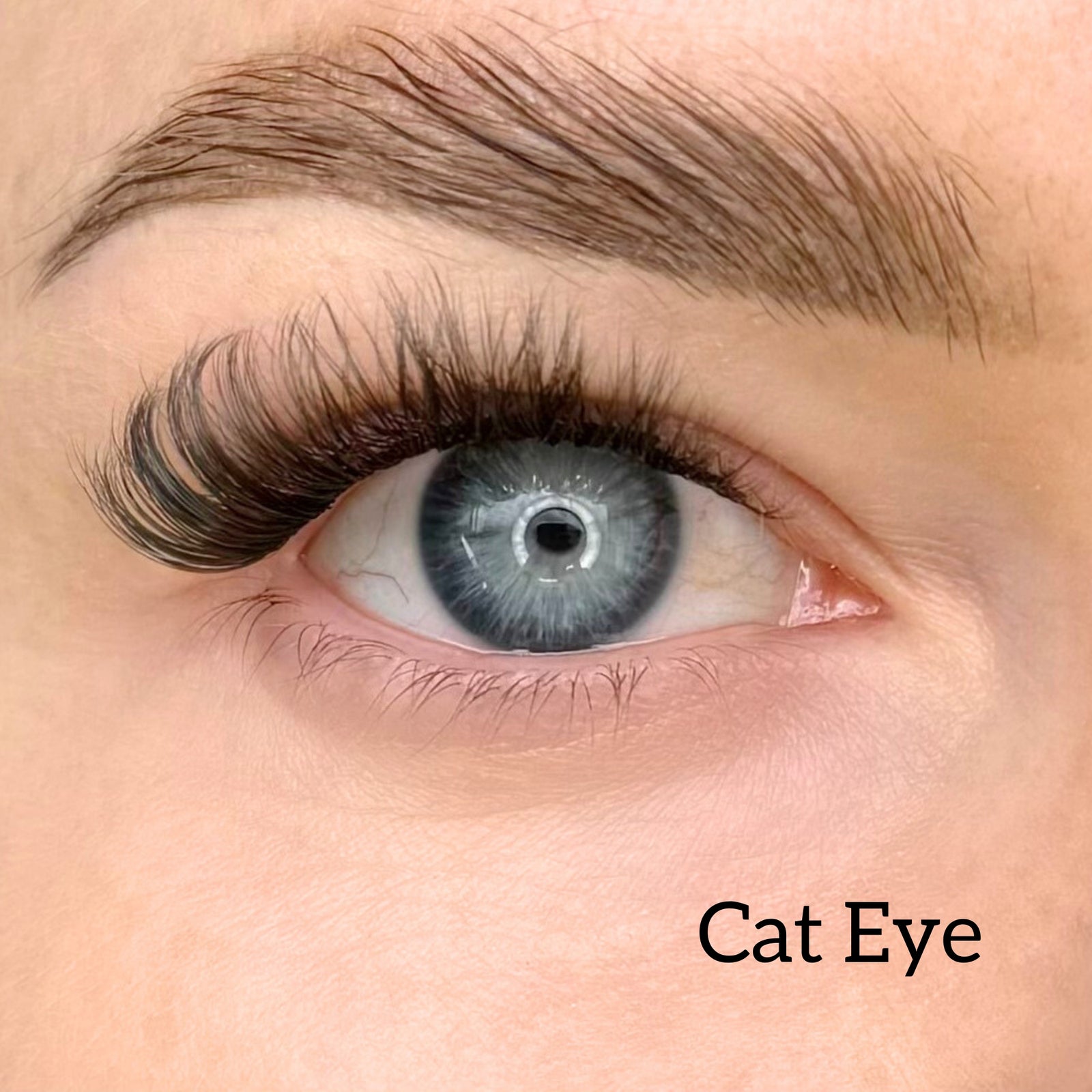 Starter kit with three packs of pre-cut lashes