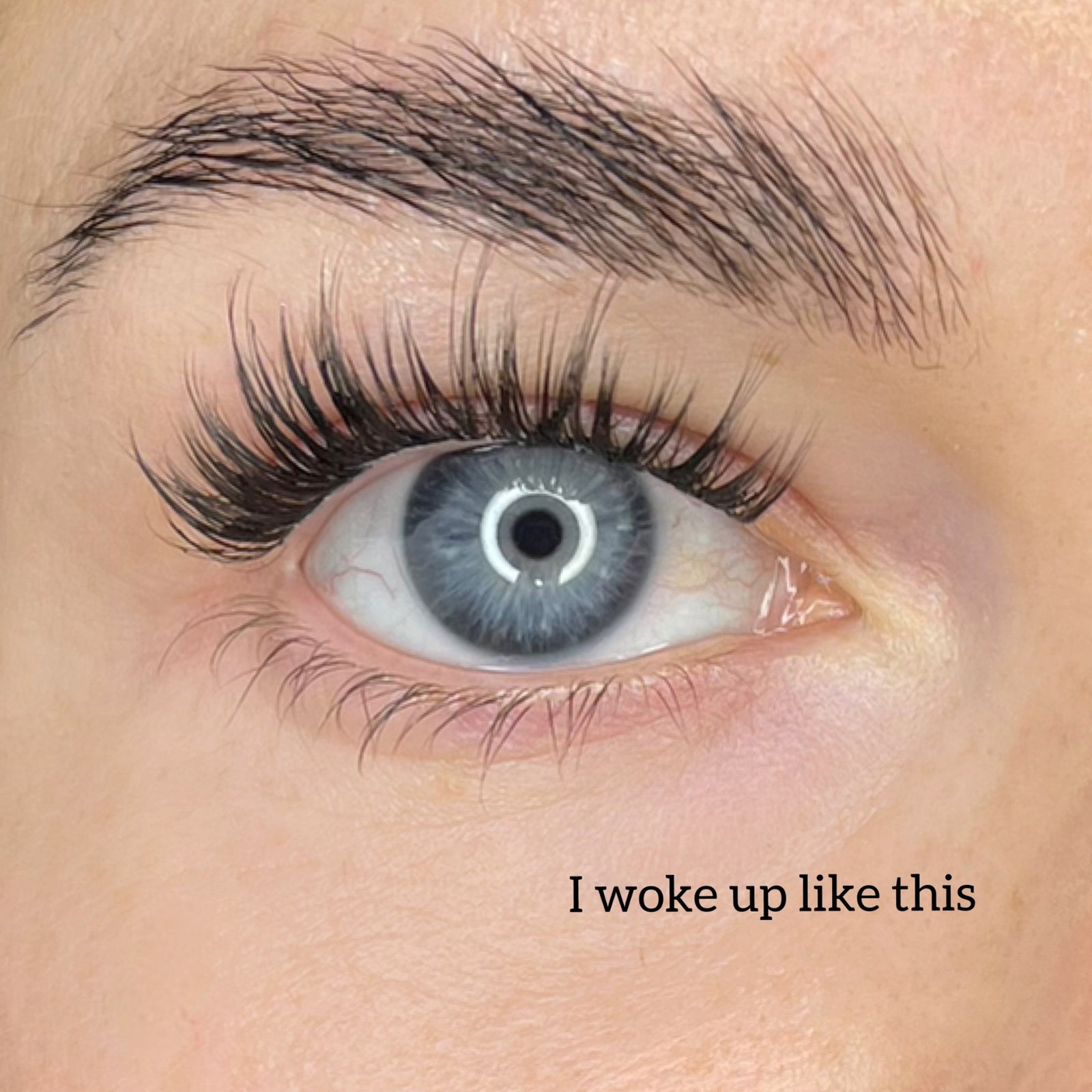 Starter kit with three packs of pre-cut lashes