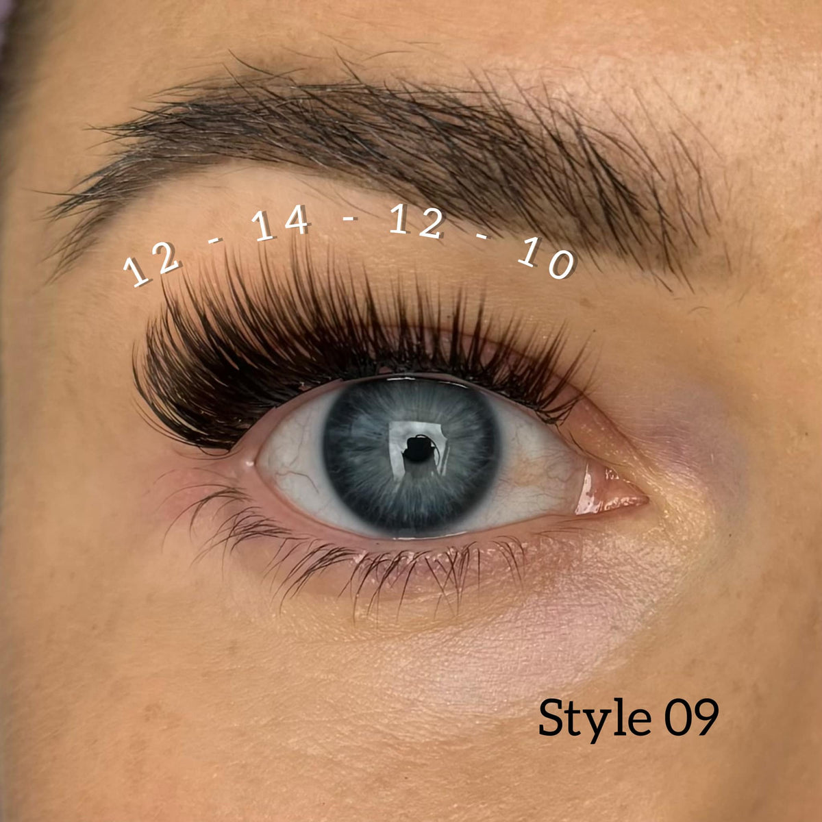 Lash Ribbons 4-pack Style 09 Dark Brown