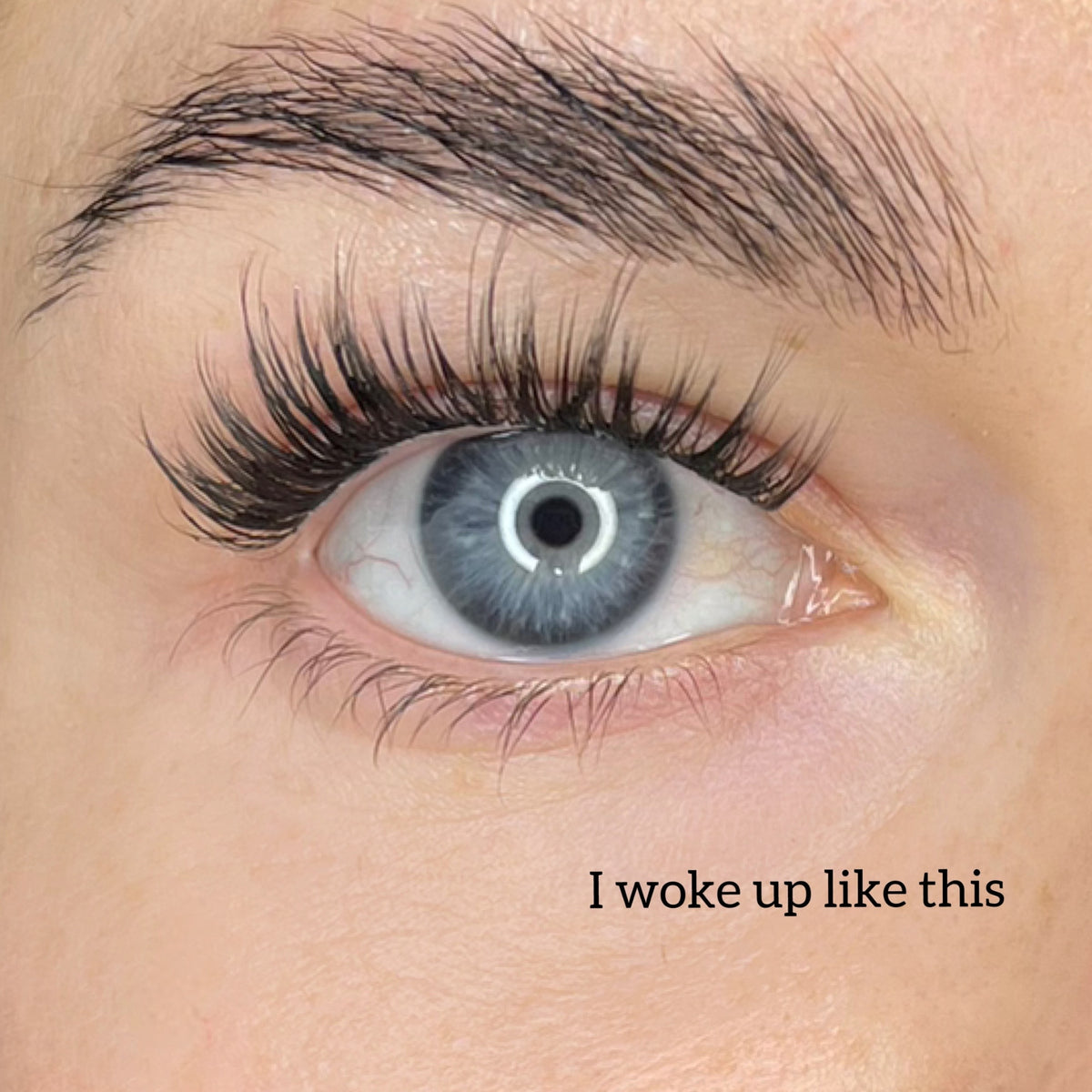 Starter kit with three packs of pre-cut lashes