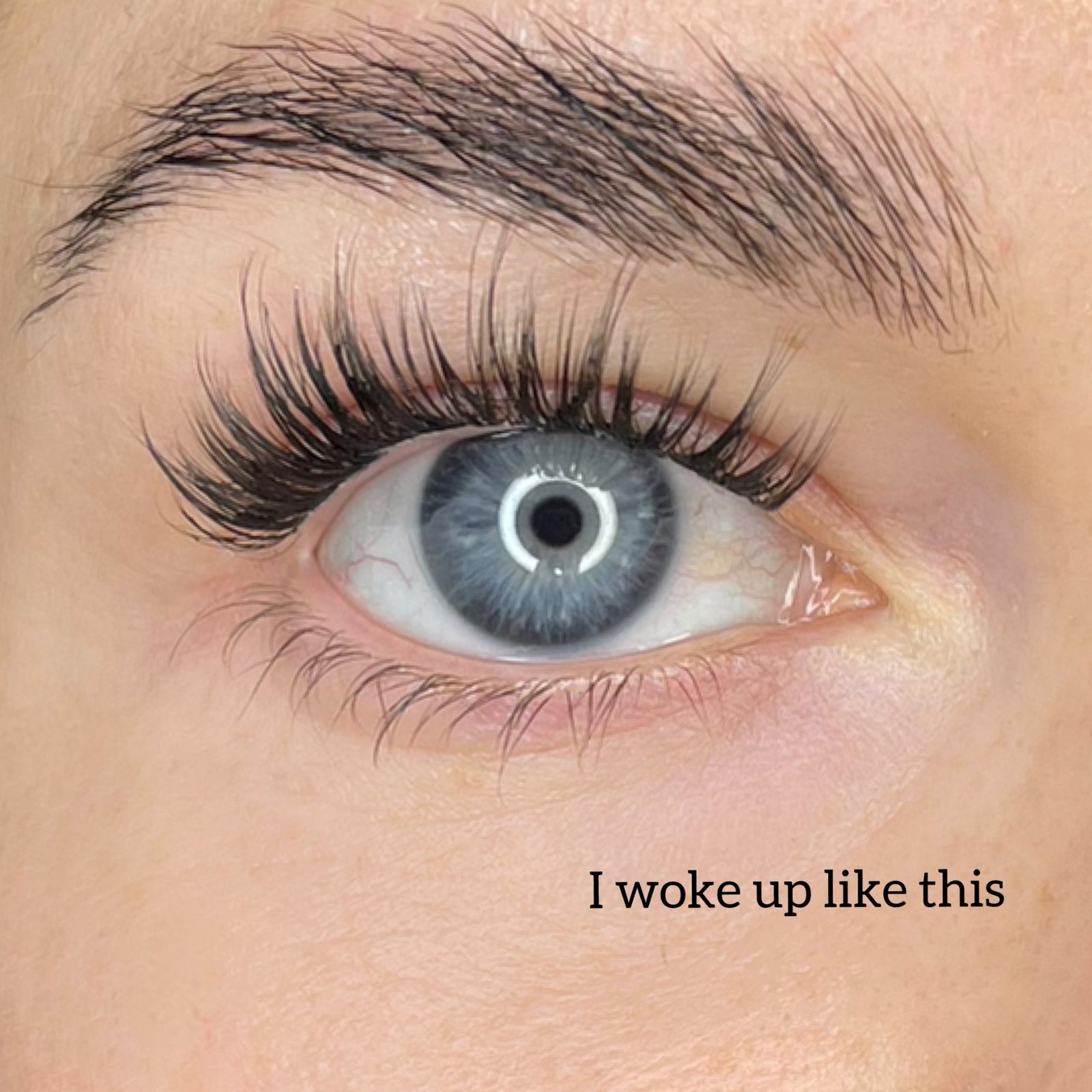 Starter kit with three packs of pre-cut lashes