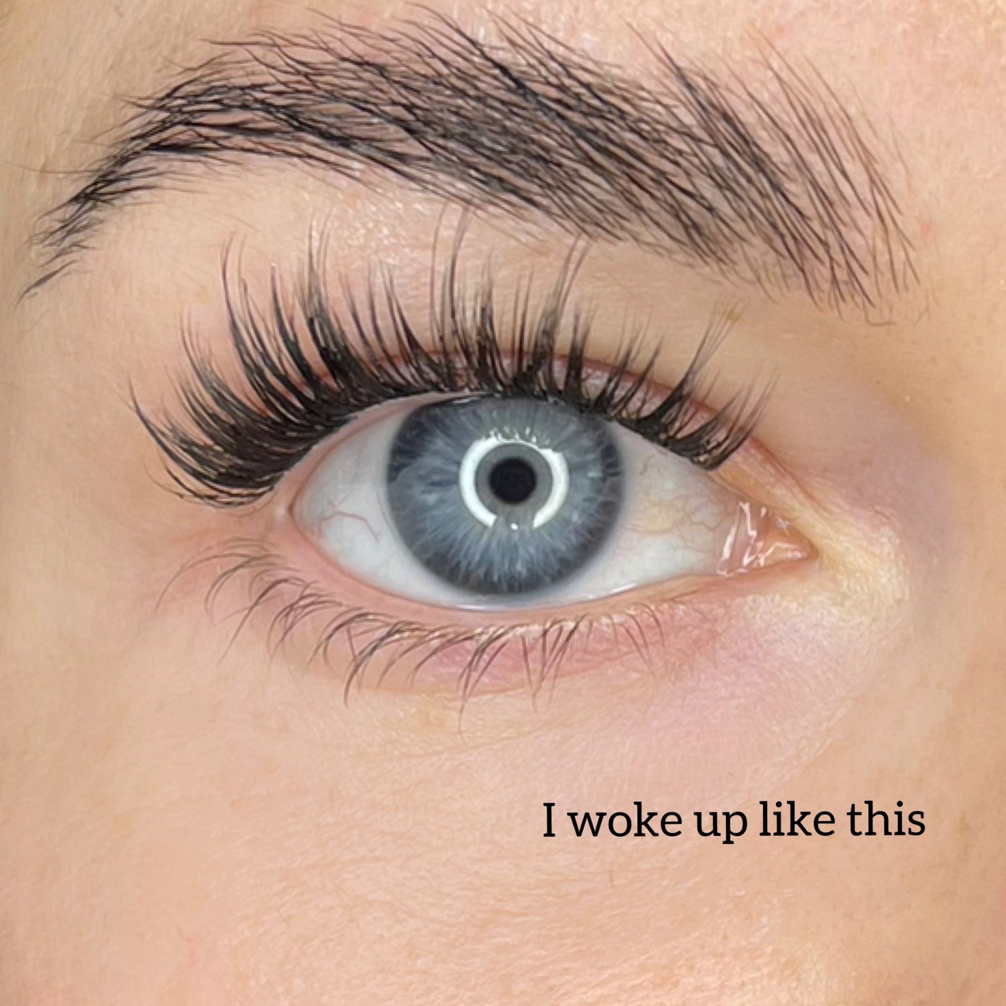 Starter kit with three packs of pre-cut lashes