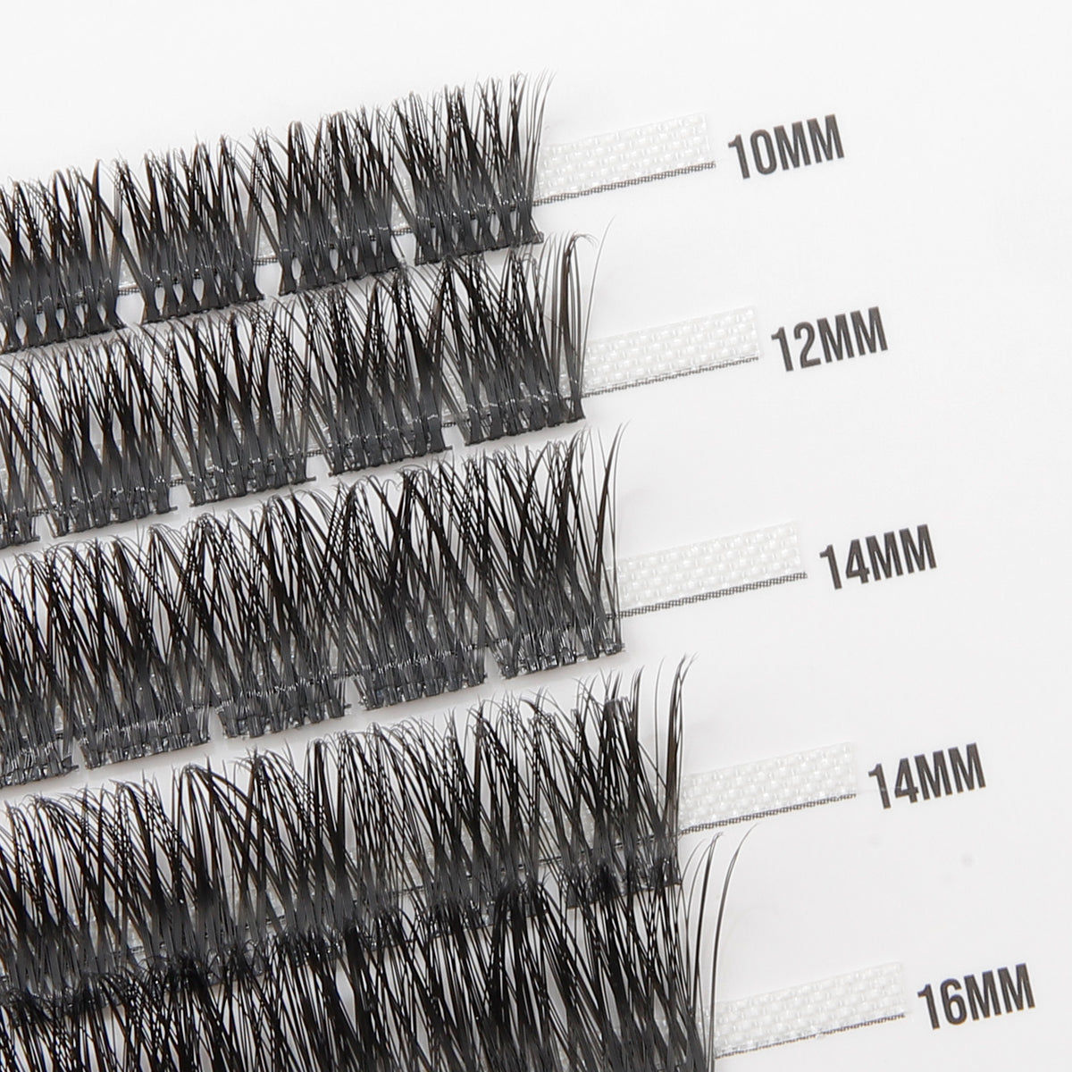 Babe 50 Cluster Lashes