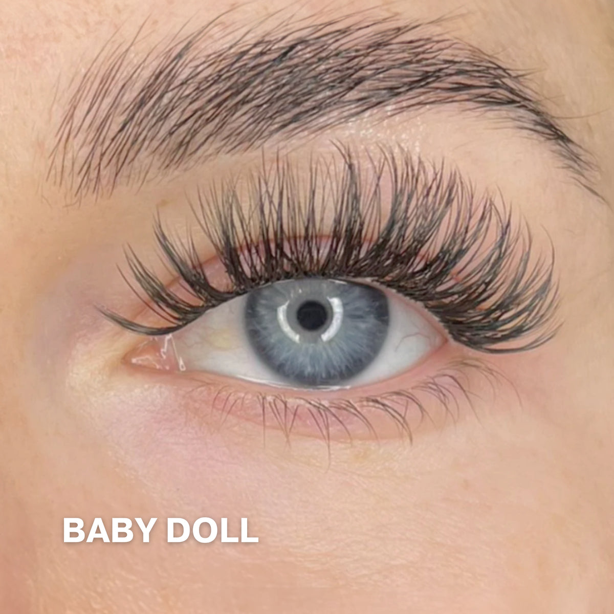 Starter Kit with Single Pack Lashes