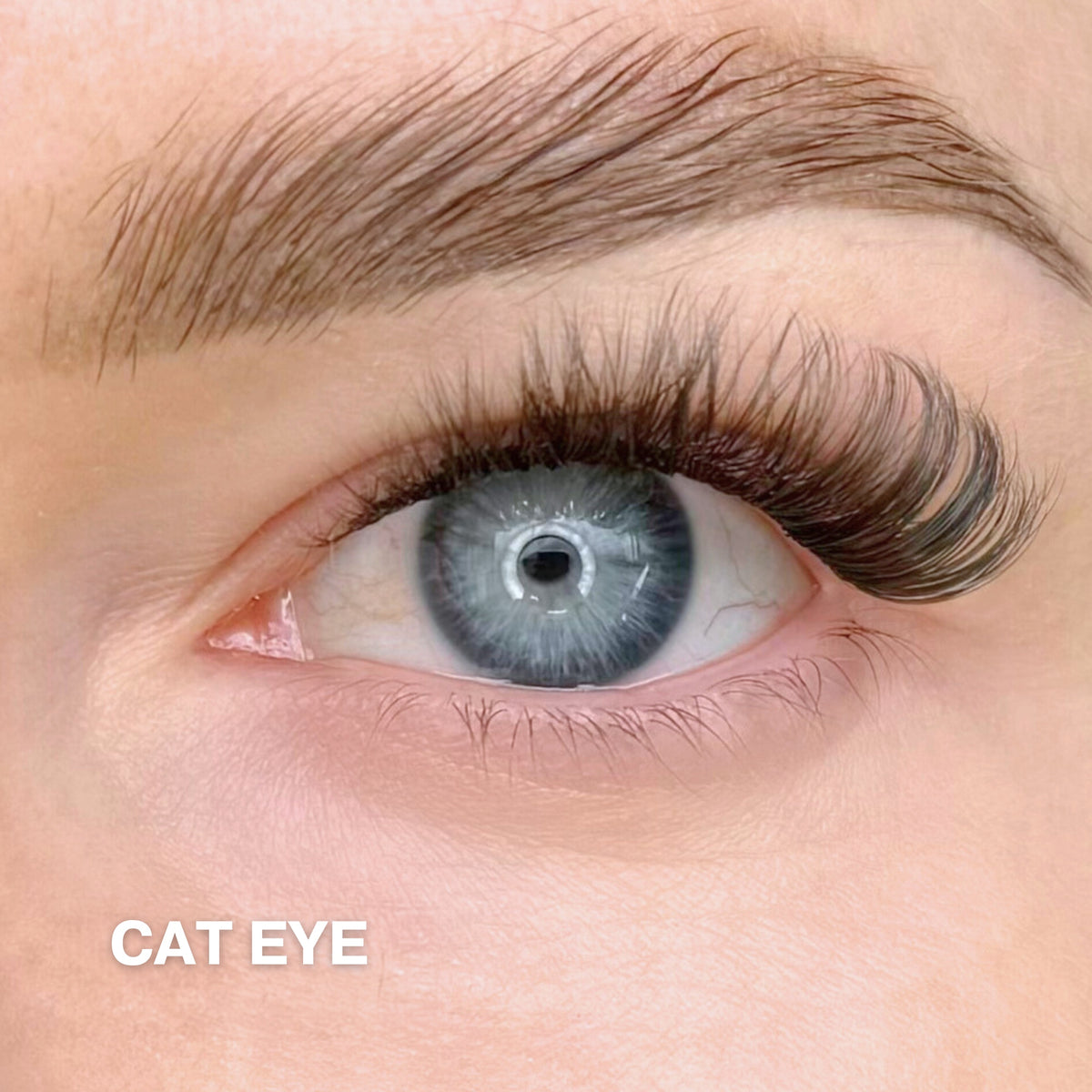 Cat Eye