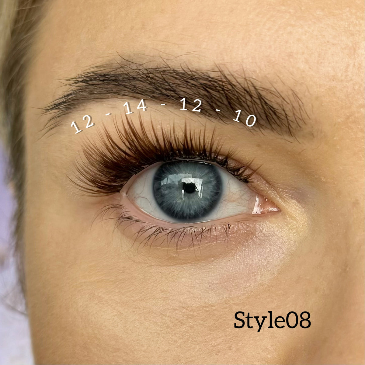 Lash Ribbons 4-pack Style 08 Brown