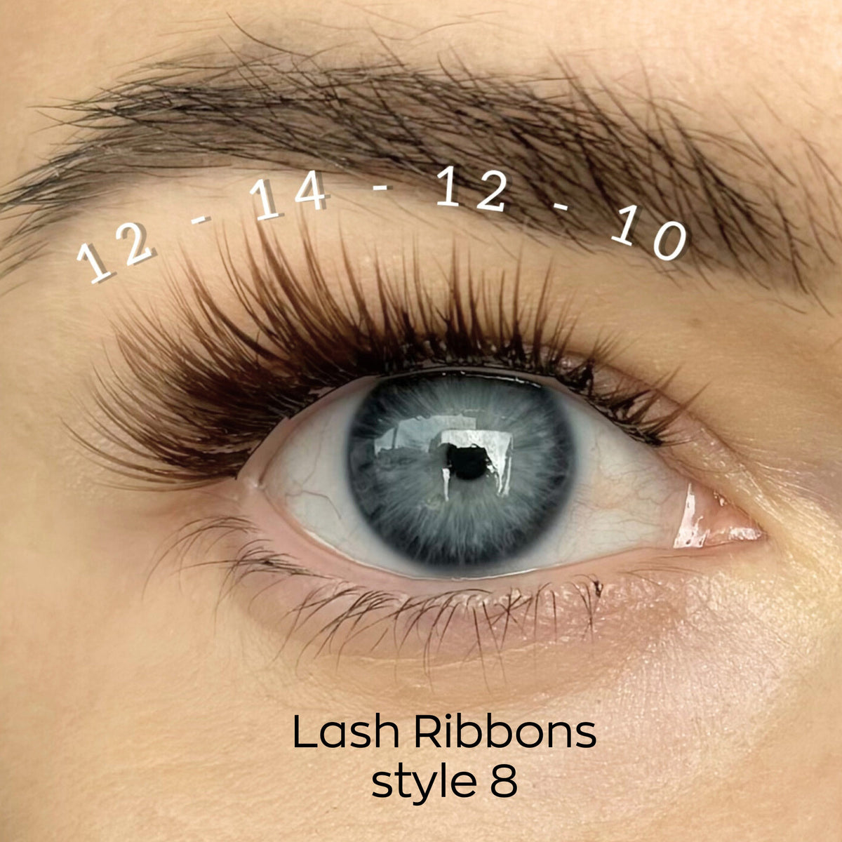 Lash Ribbons Style 08 Brown Single Pack