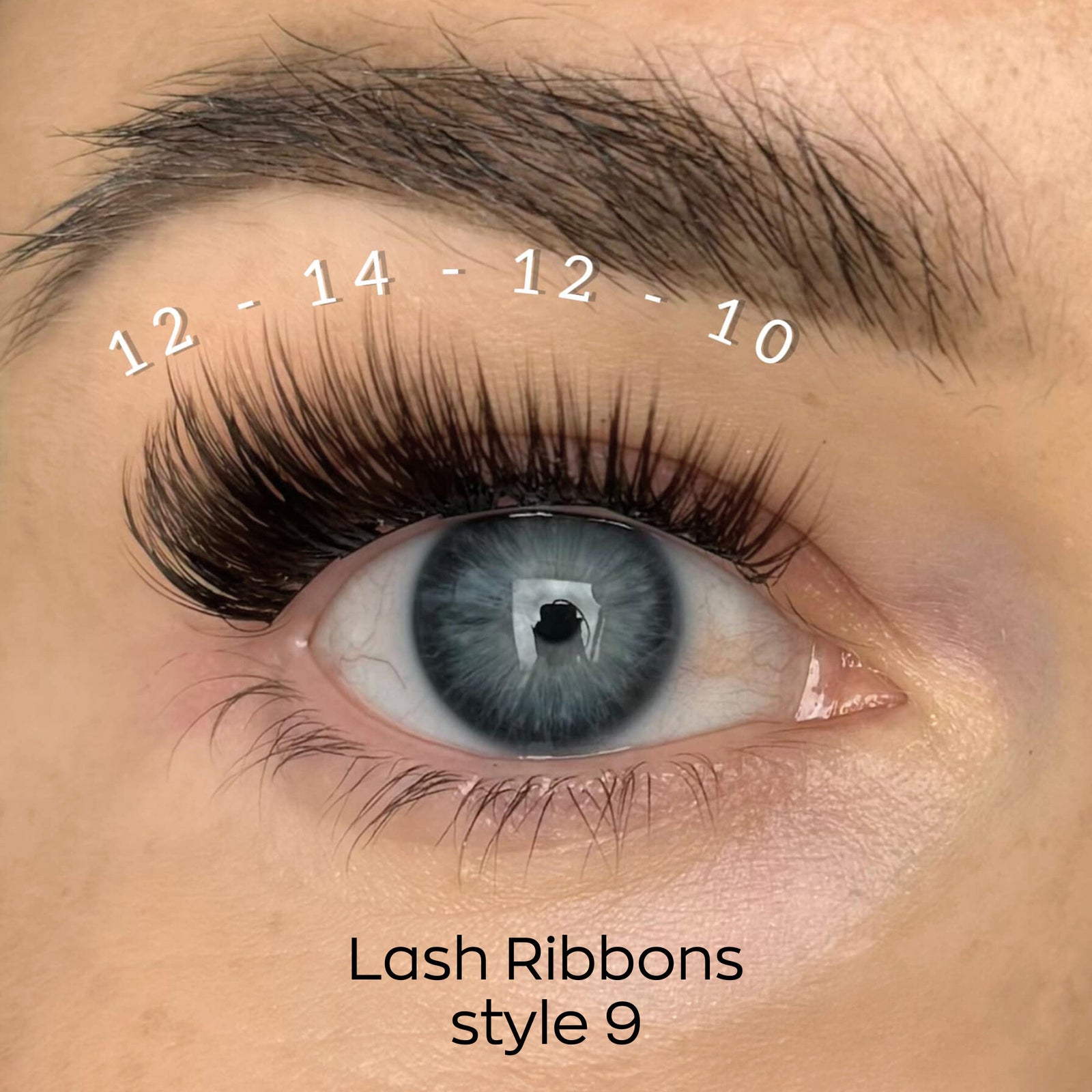 Lash Ribbons Style 09 Dark Brown Single Pack