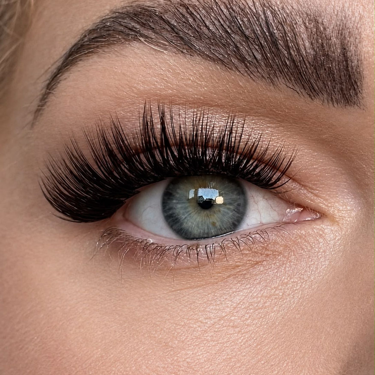 Dark Chocolate 50 Cluster Lashes