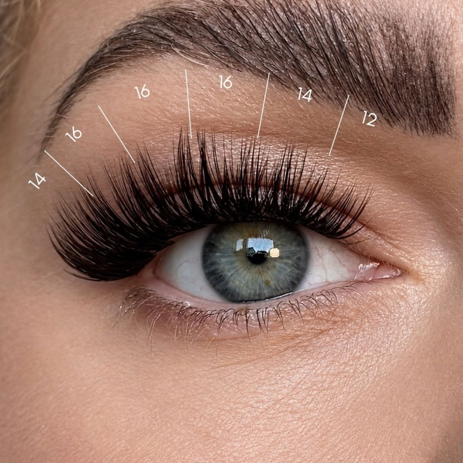 Dark Chocolate 50 Cluster Lashes