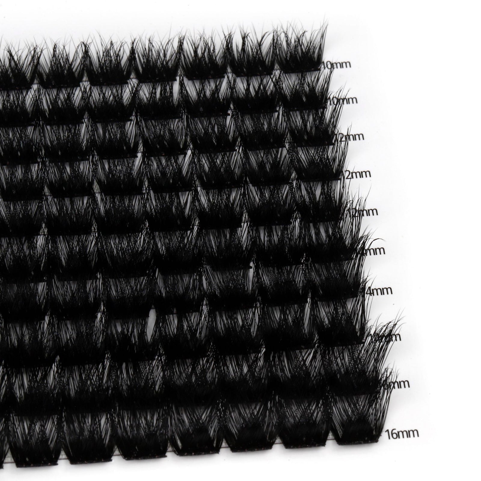 Holly Glam 100 Cluster Lashes