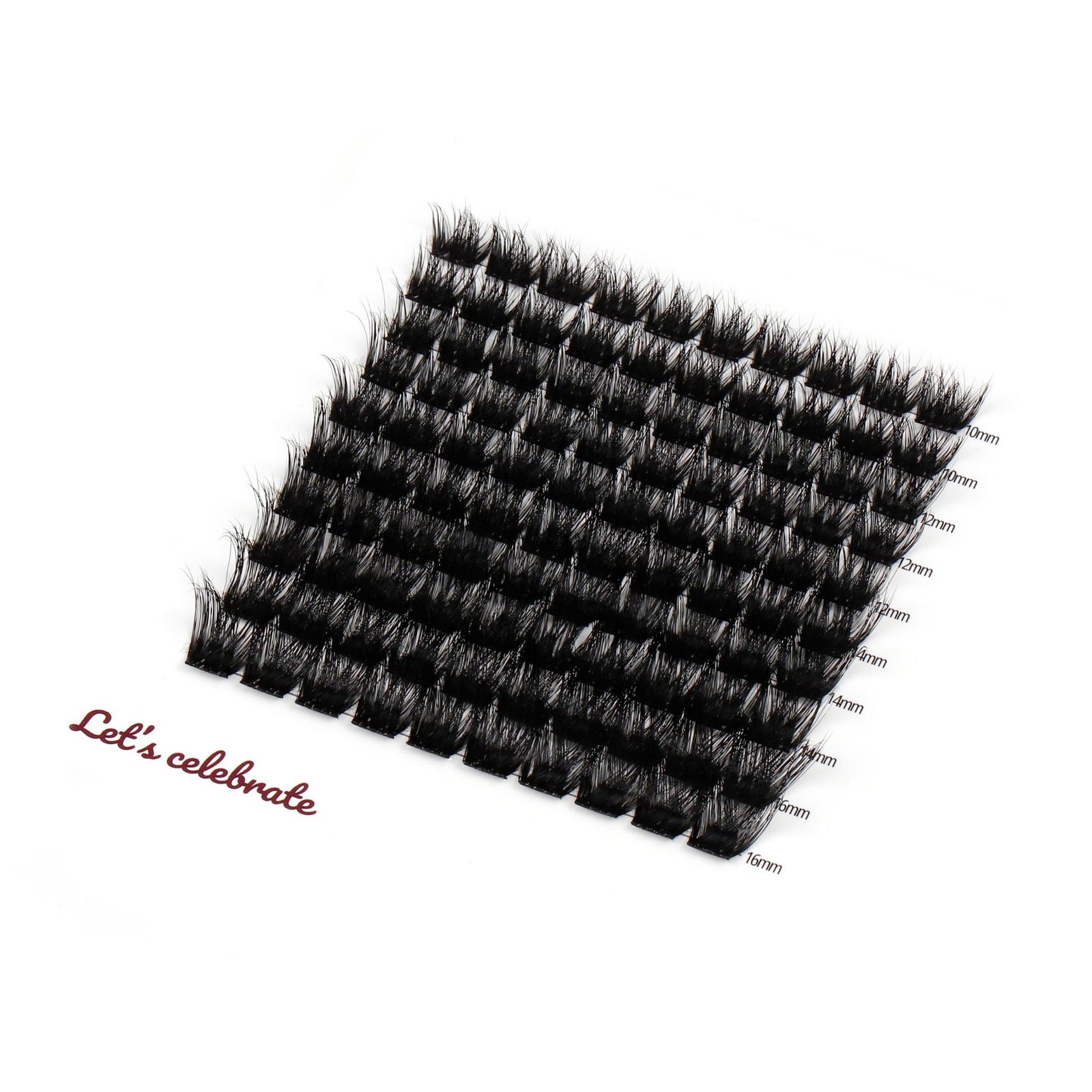 Holly Glam 100 Cluster Lashes