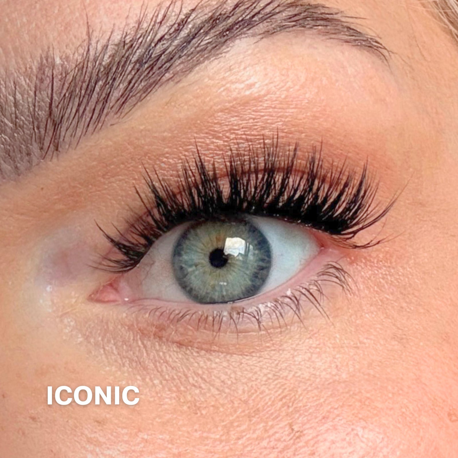 Iconic 50 Cluster Lashes