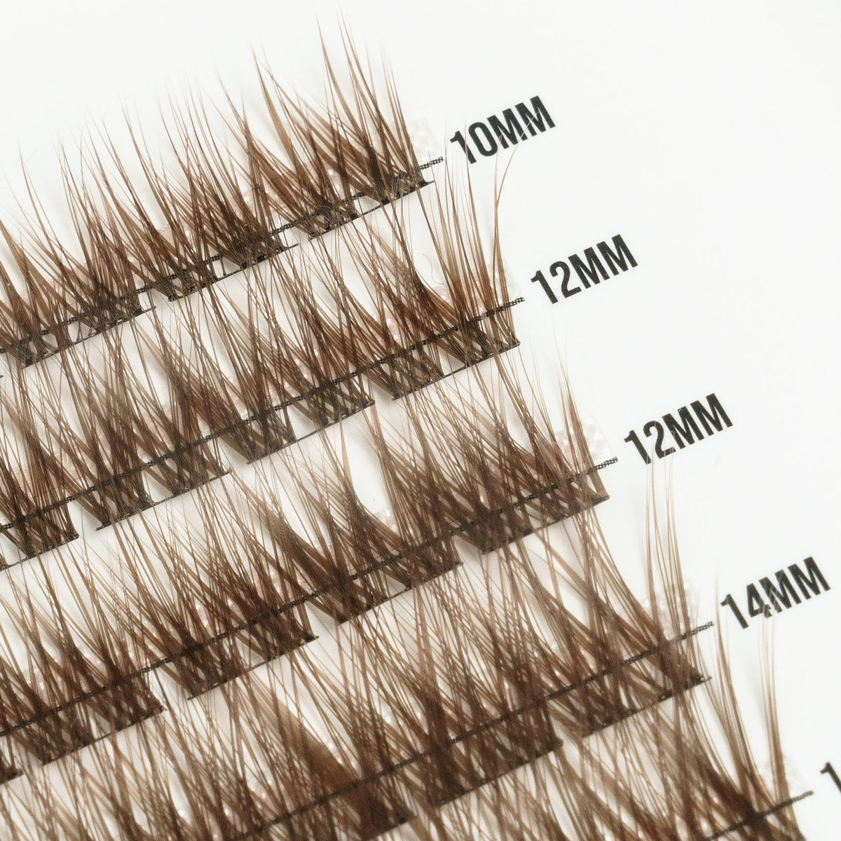 Chocolate 50 Cluster Lashes