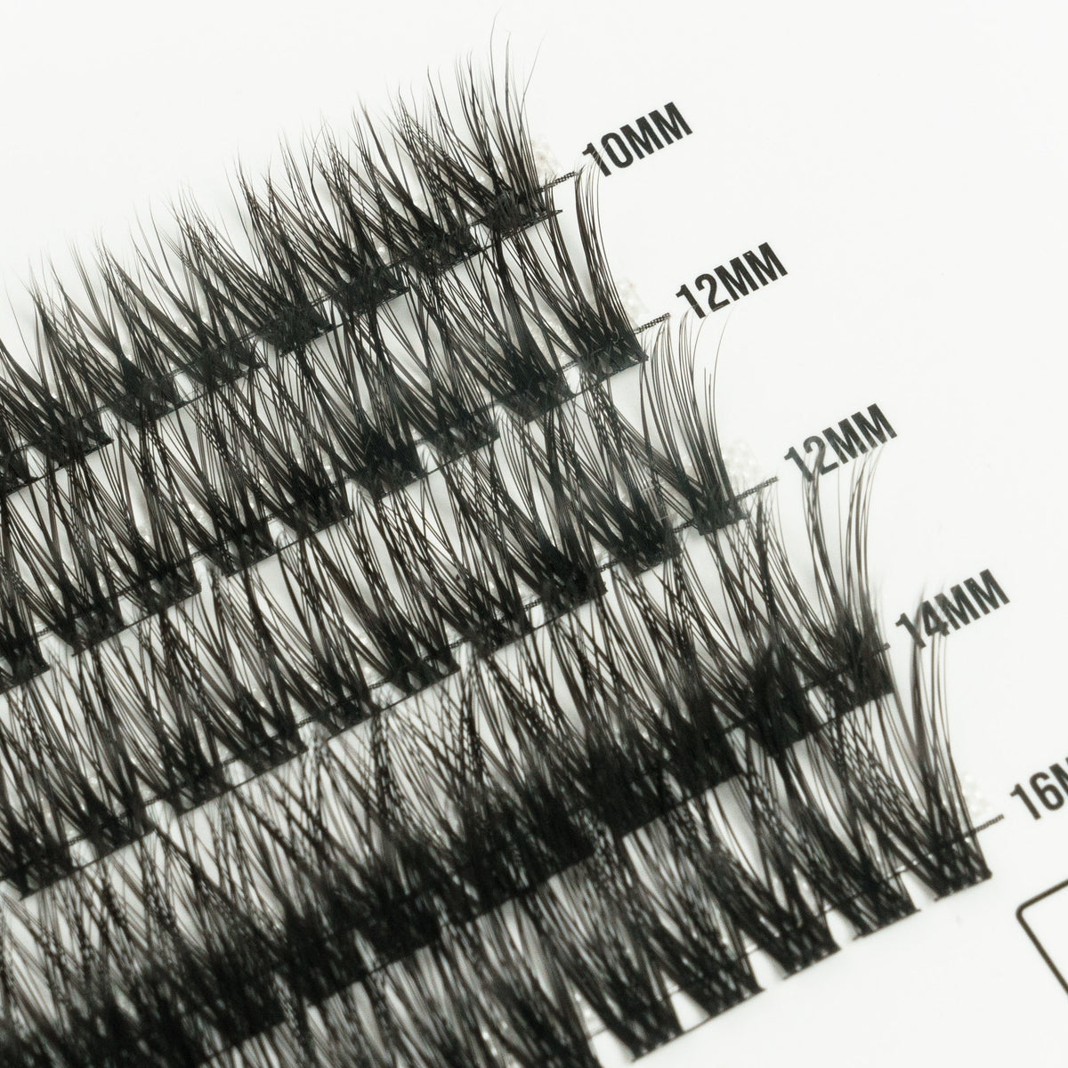 Darling 50 Cluster Lashes