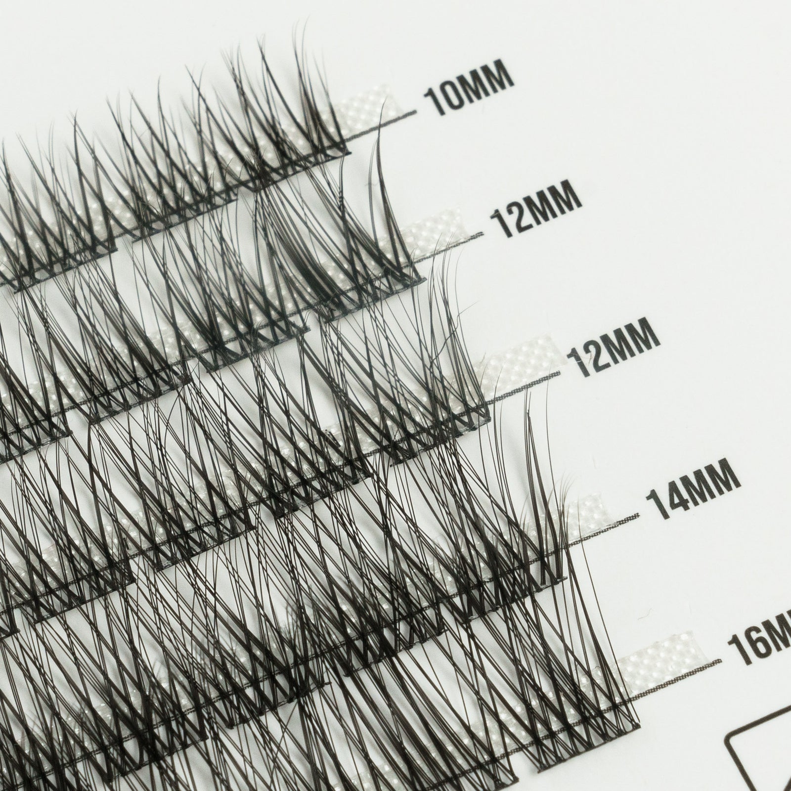 Honey 50 Cluster Lashes