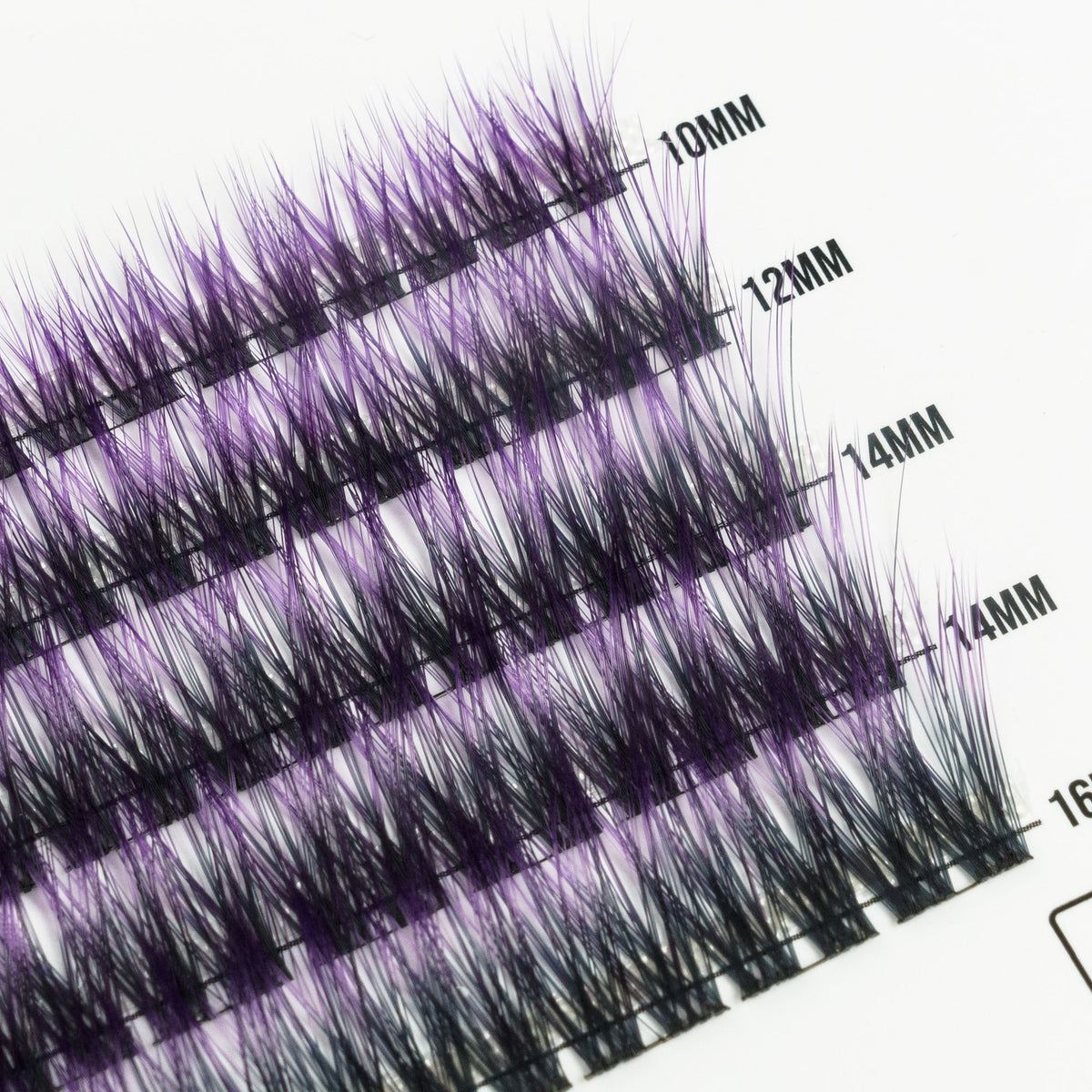 Mystic Orchid 50 Cluster Lashes