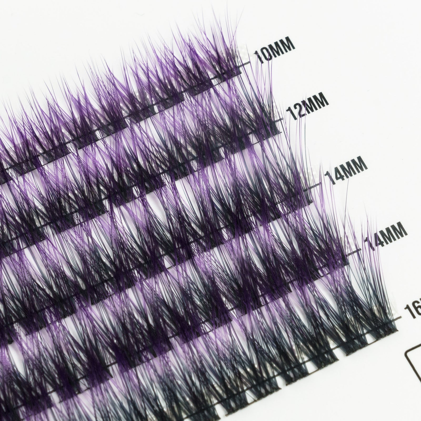Mystic Orchid 50 Cluster Lashes