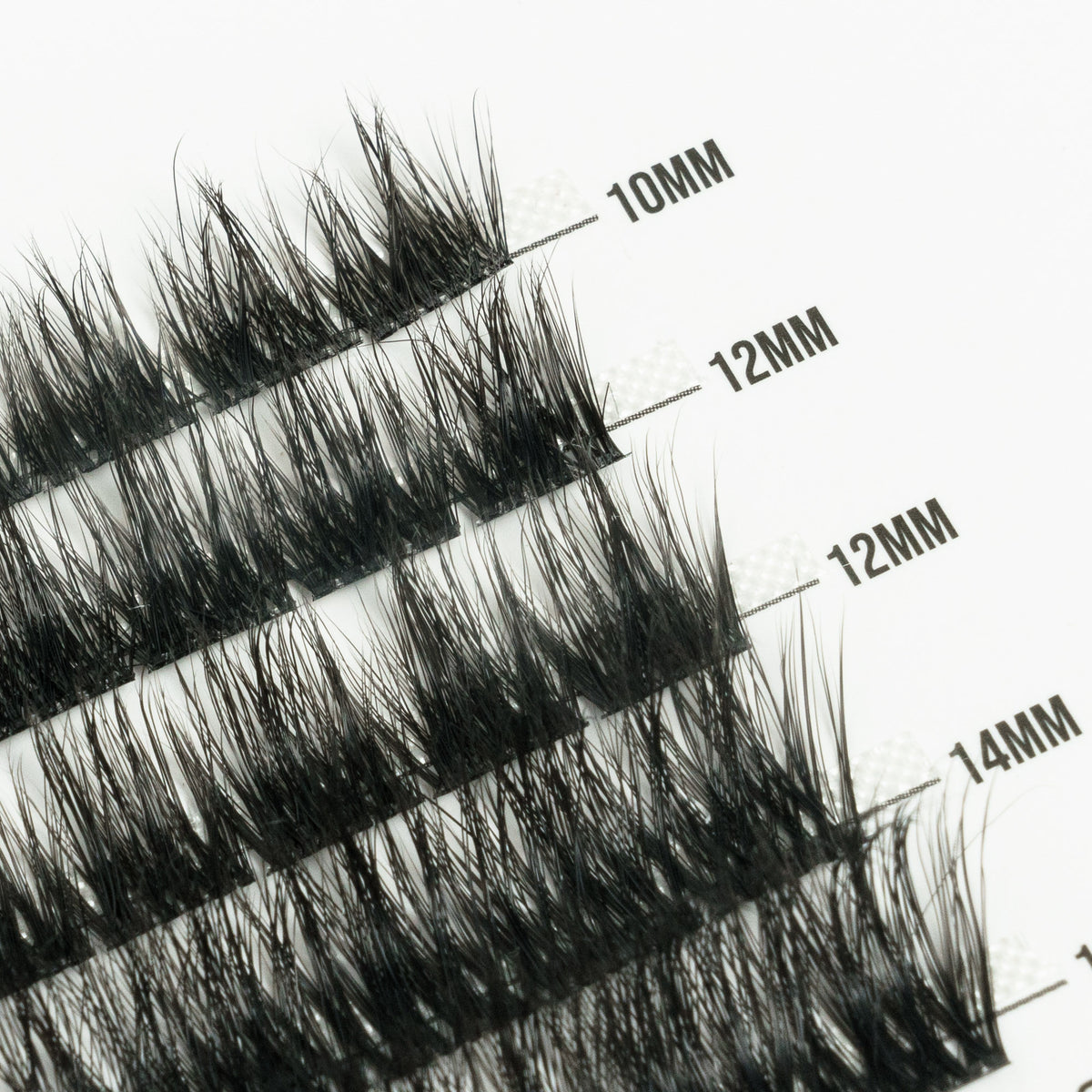 Love 50 Cluster Lashes