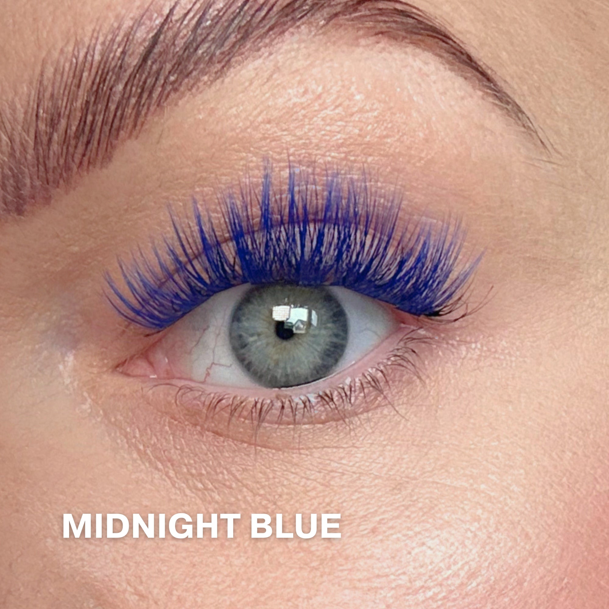 Midnight Blue Cluster Lashes Set