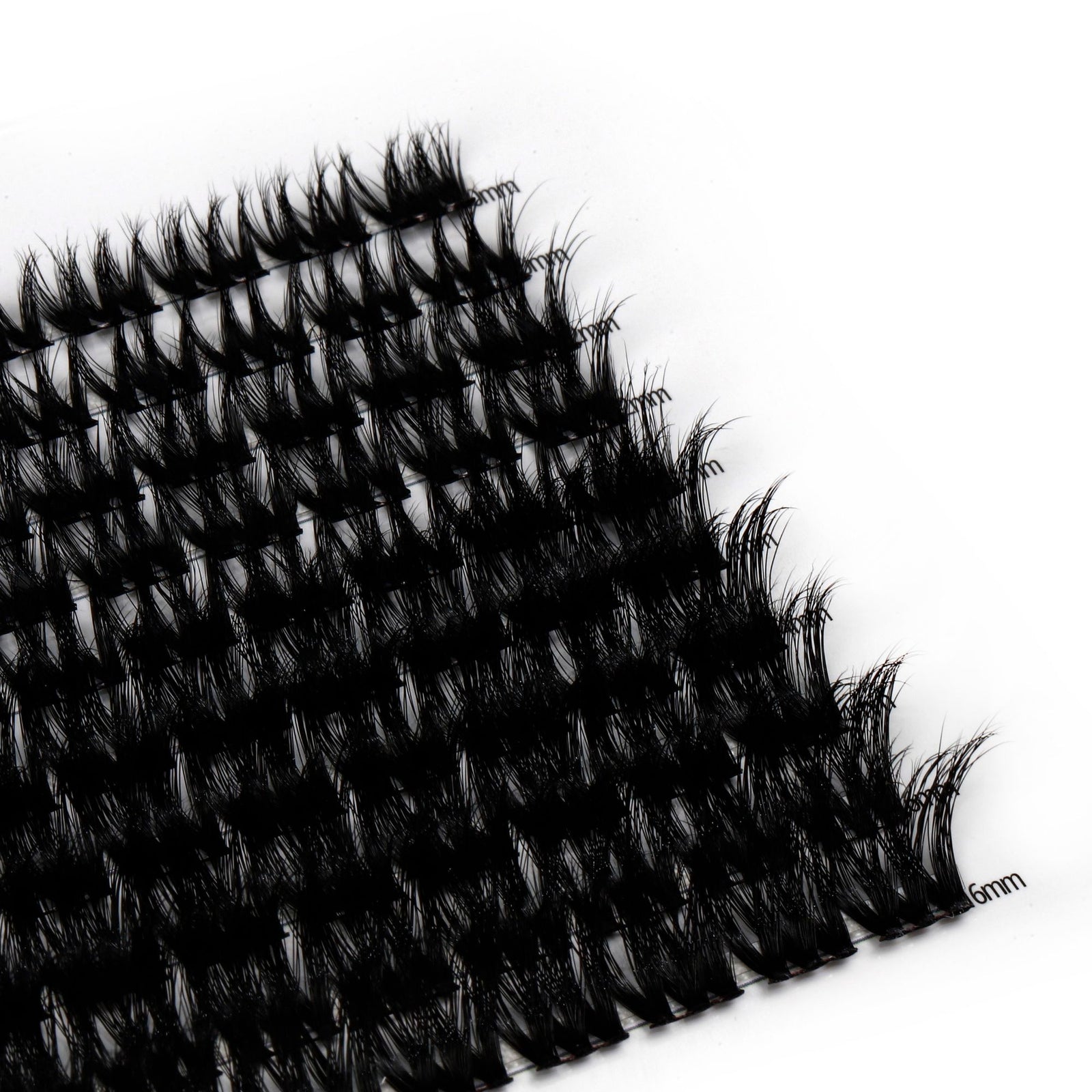 Midnight Sparkle 100 Cluster Lashes