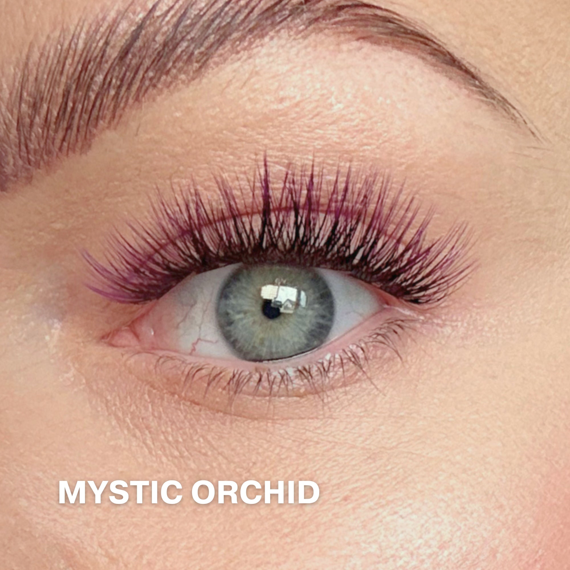 Mystic Orchid Cluster Lashes Set