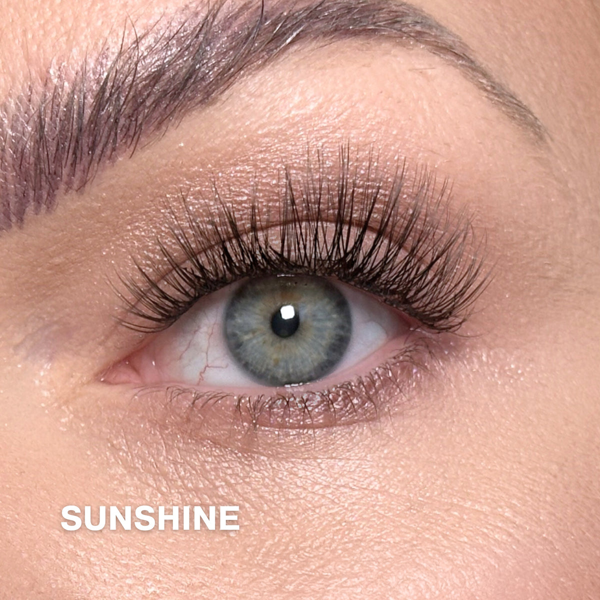 Sunshine 50 Cluster Lashes