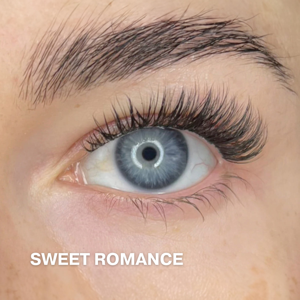 Starter Kit with 4-pack Pre-cut Lashes