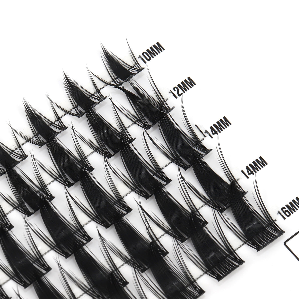 Spicy 50 Cluster Lashes