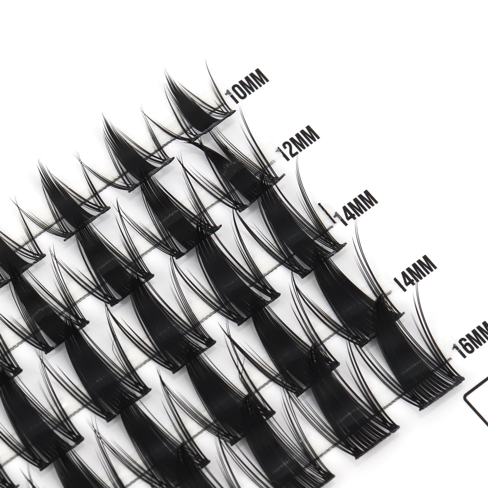 Spicy 50 Cluster Lashes