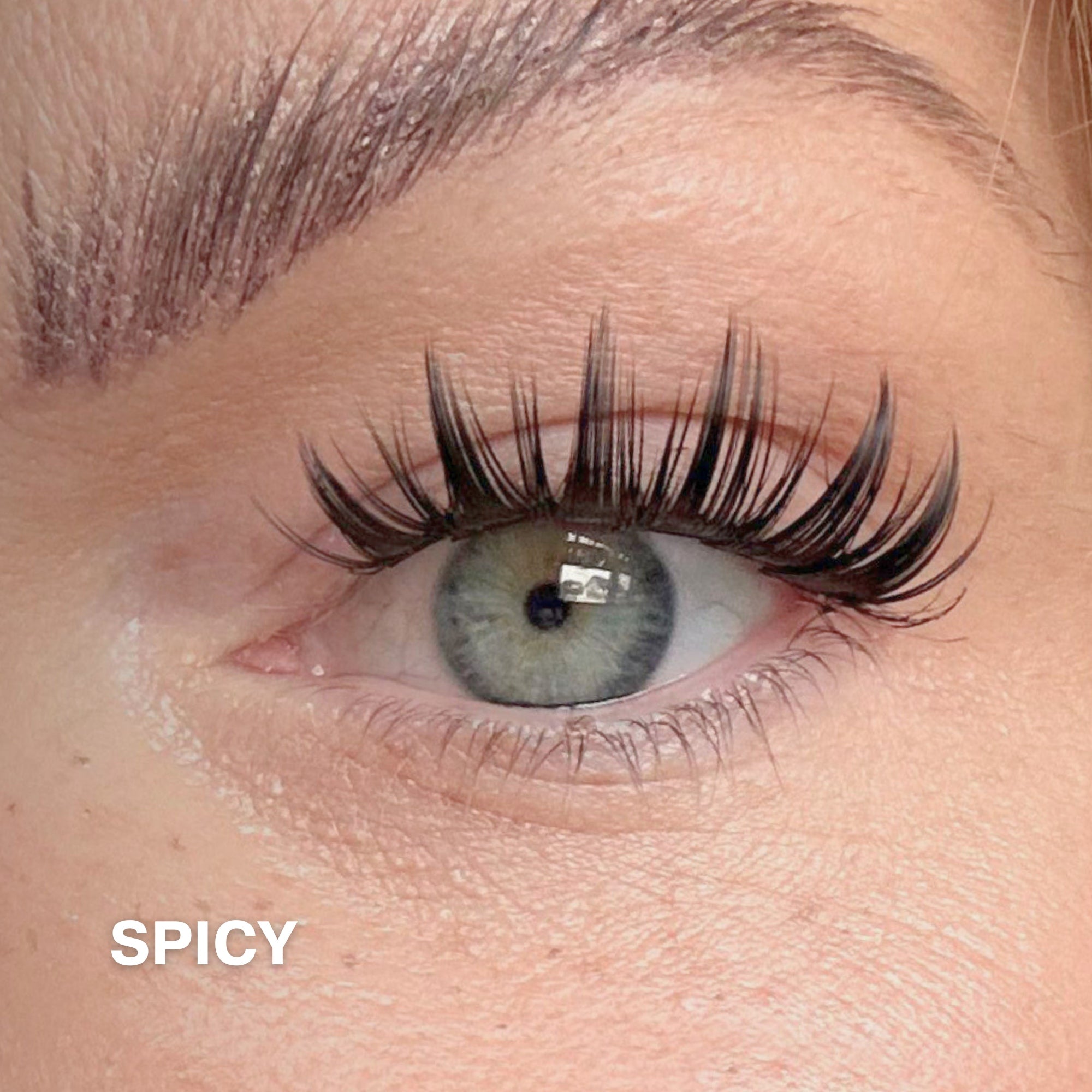 Spicy Cluster Lashes