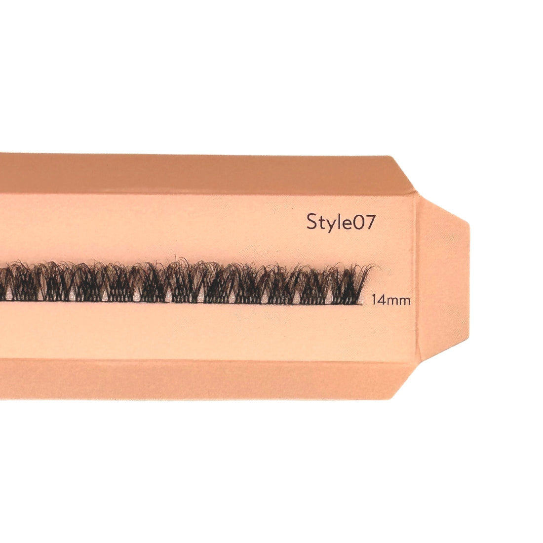 Starter Kit with Single Pack Ribbons Lashes