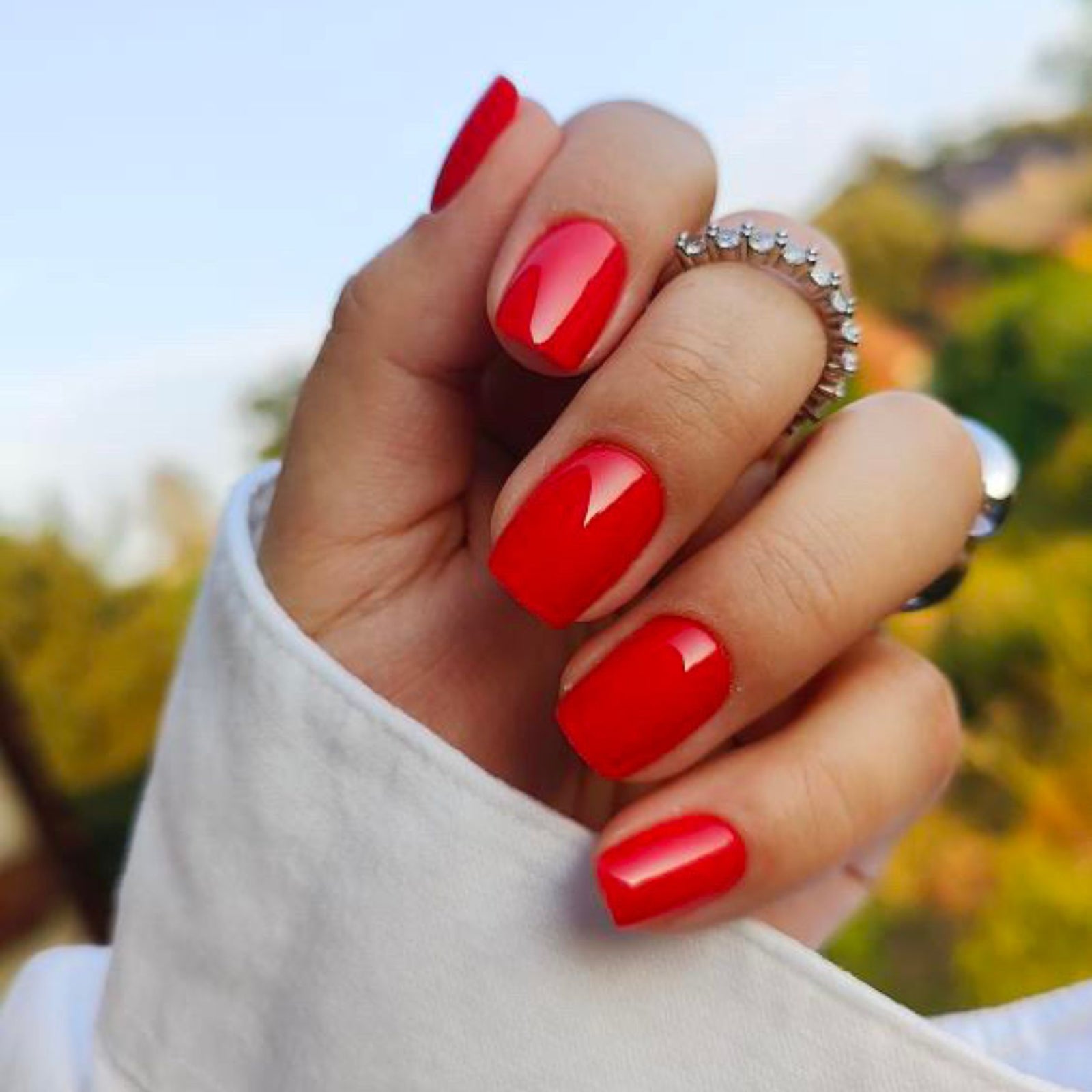 Poppy Red - Press On Nails
