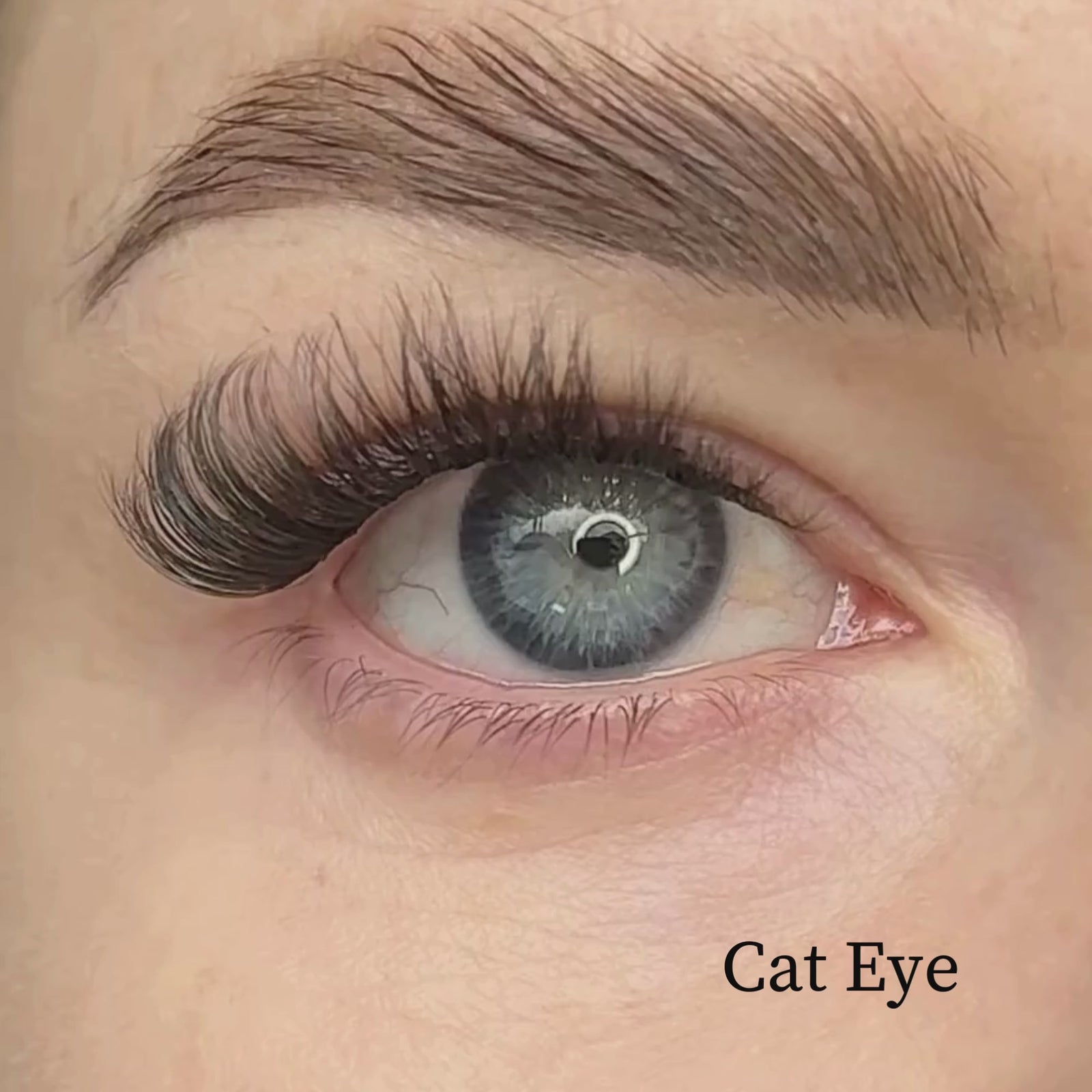 Cat Eye