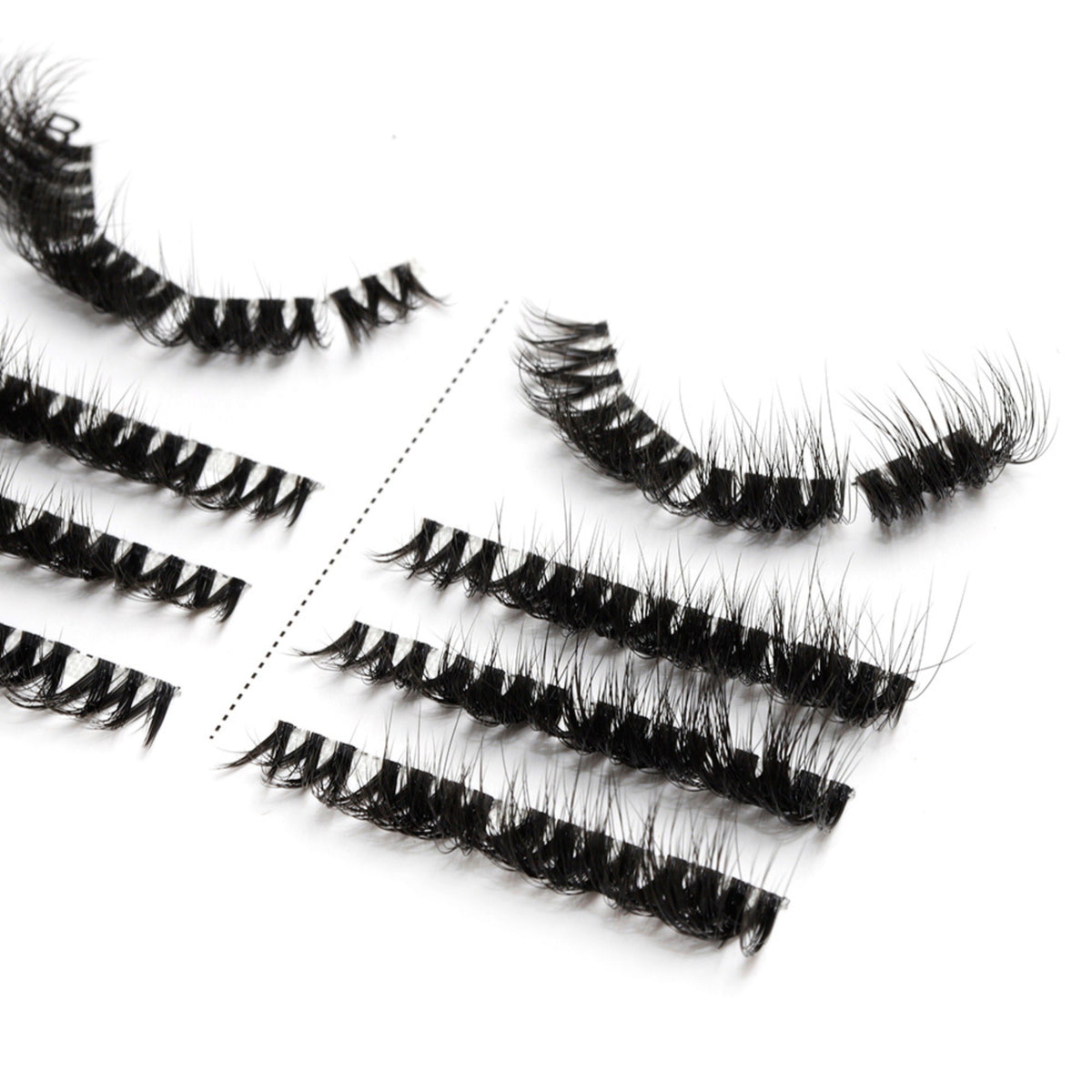 Wild Cat 4-pack