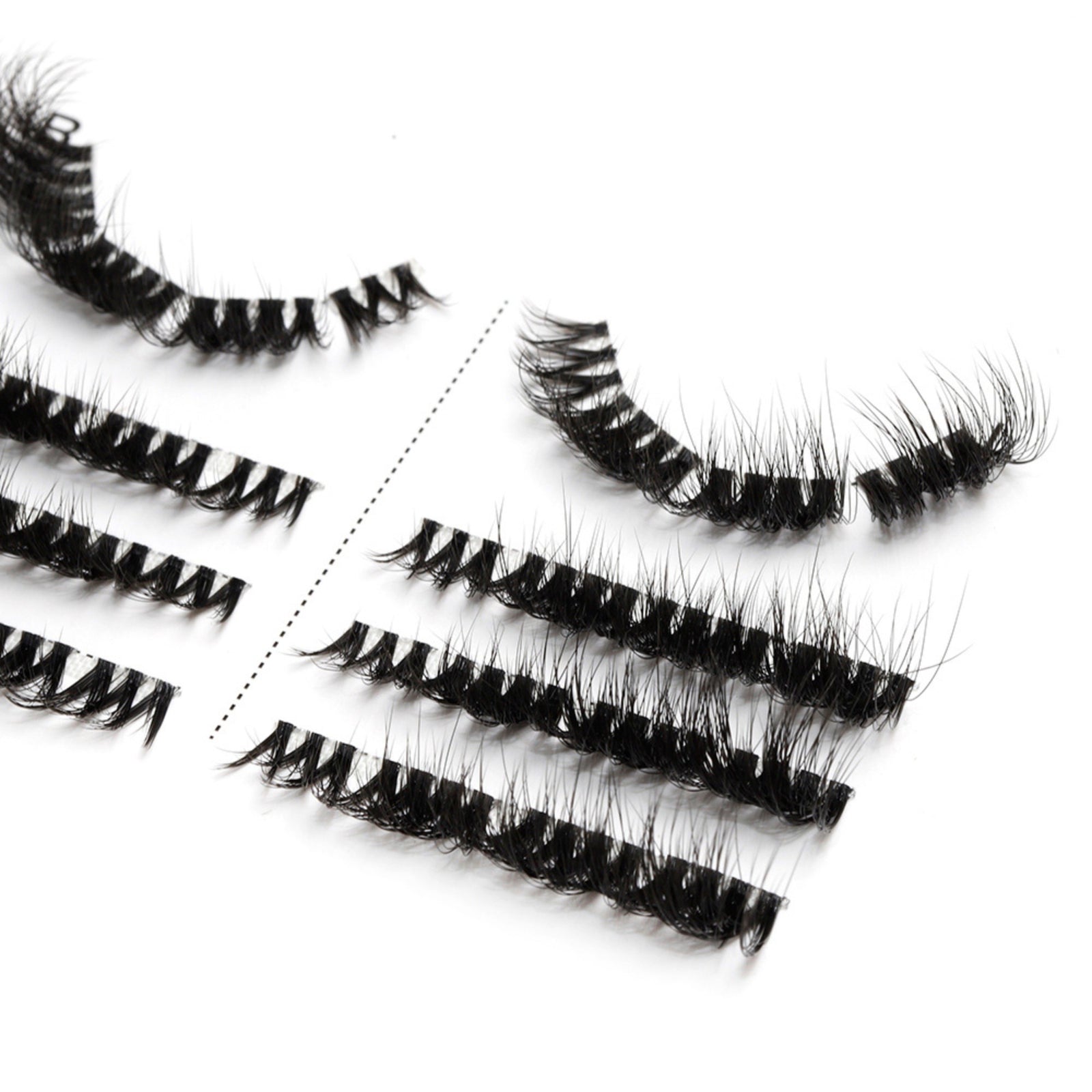 Wild Cat 4-pack
